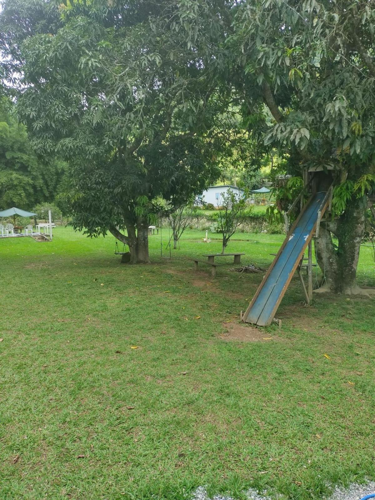 Sítio das Jaqueiras