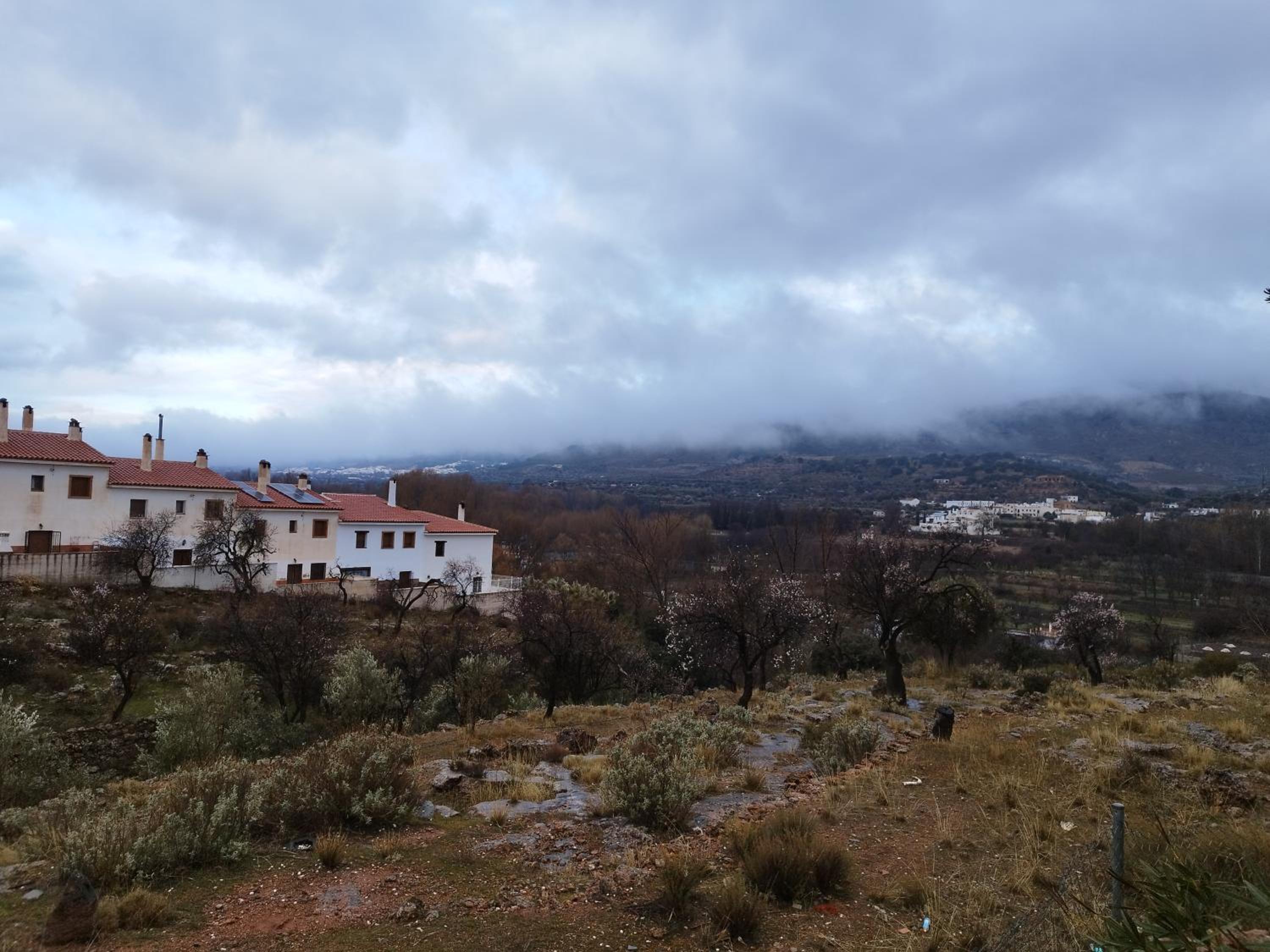 Los Olivos de Fondon
