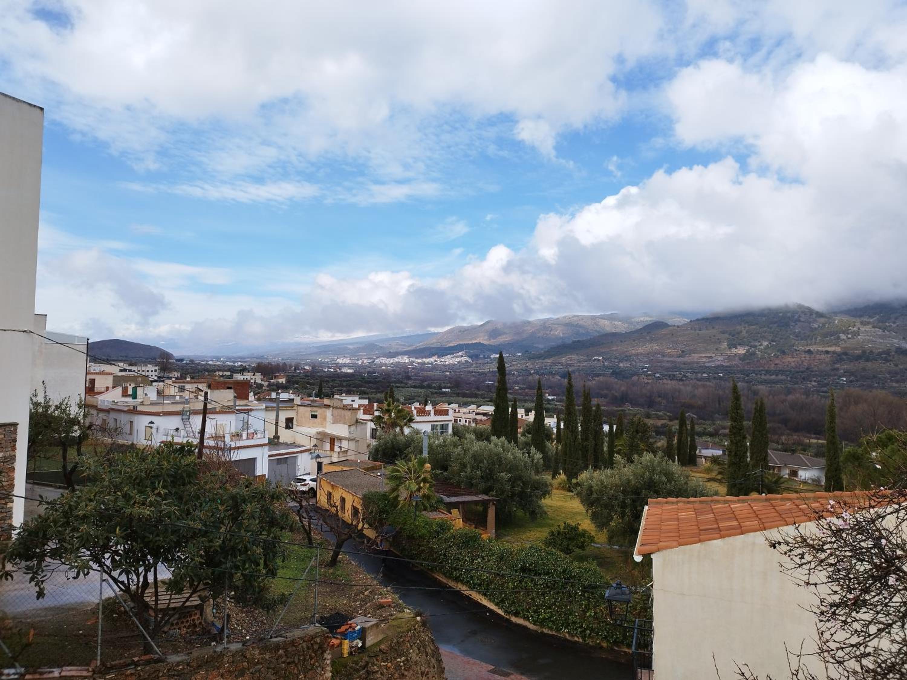 Los Olivos de Fondon