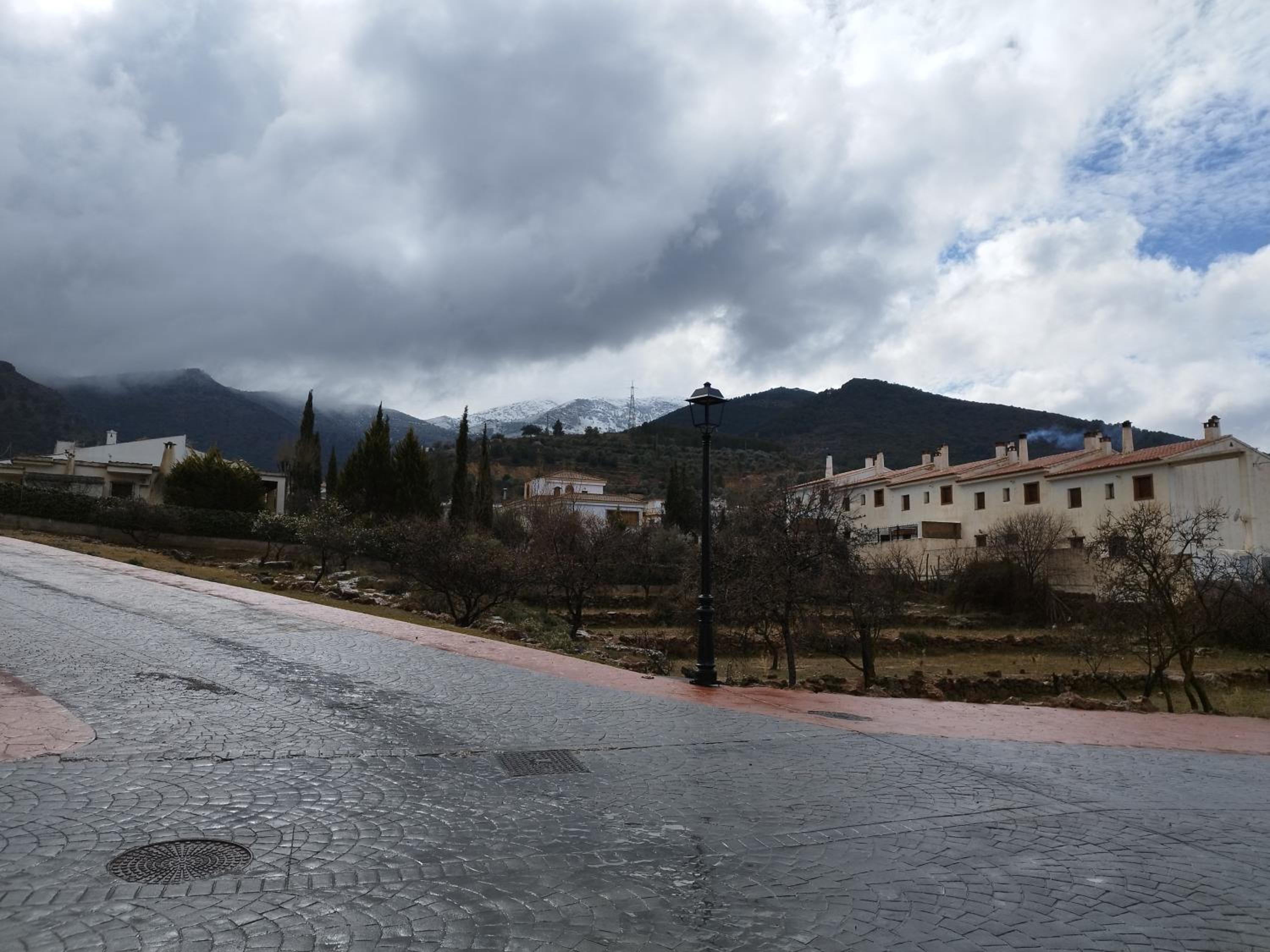 Los Olivos de Fondon