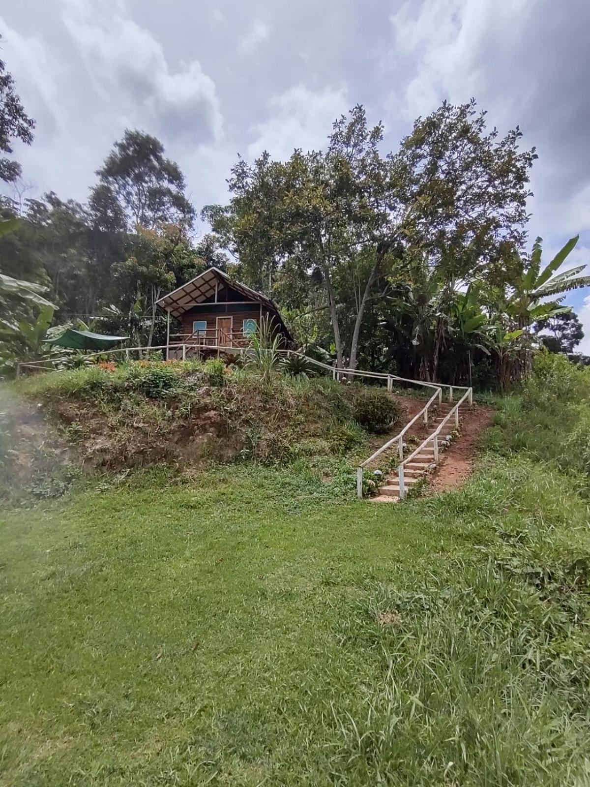 Sítio das Jaqueiras