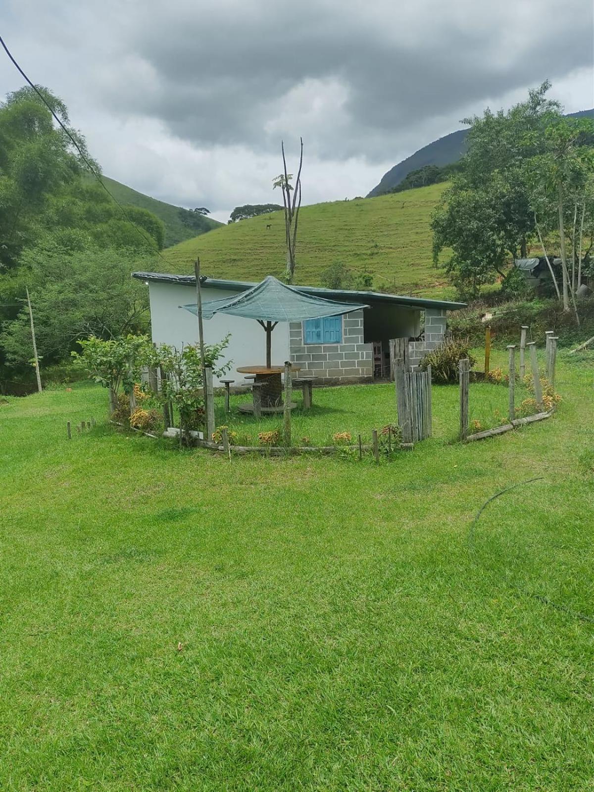 Sítio das Jaqueiras