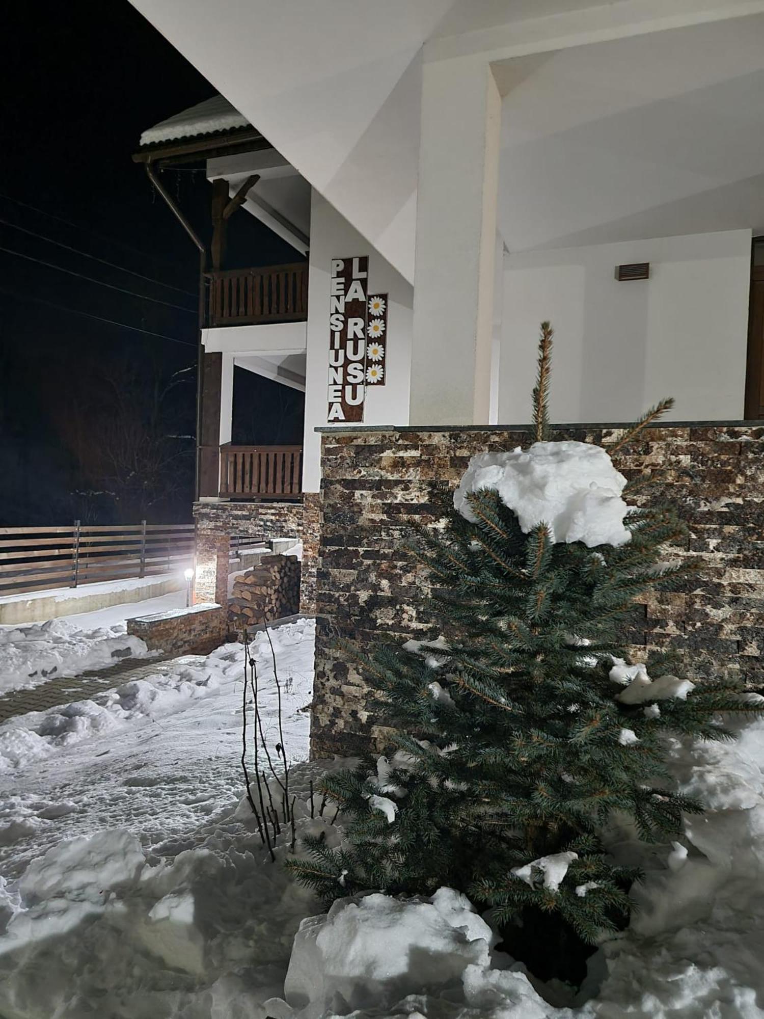 Agropensiunea turistică La Rusu view 3