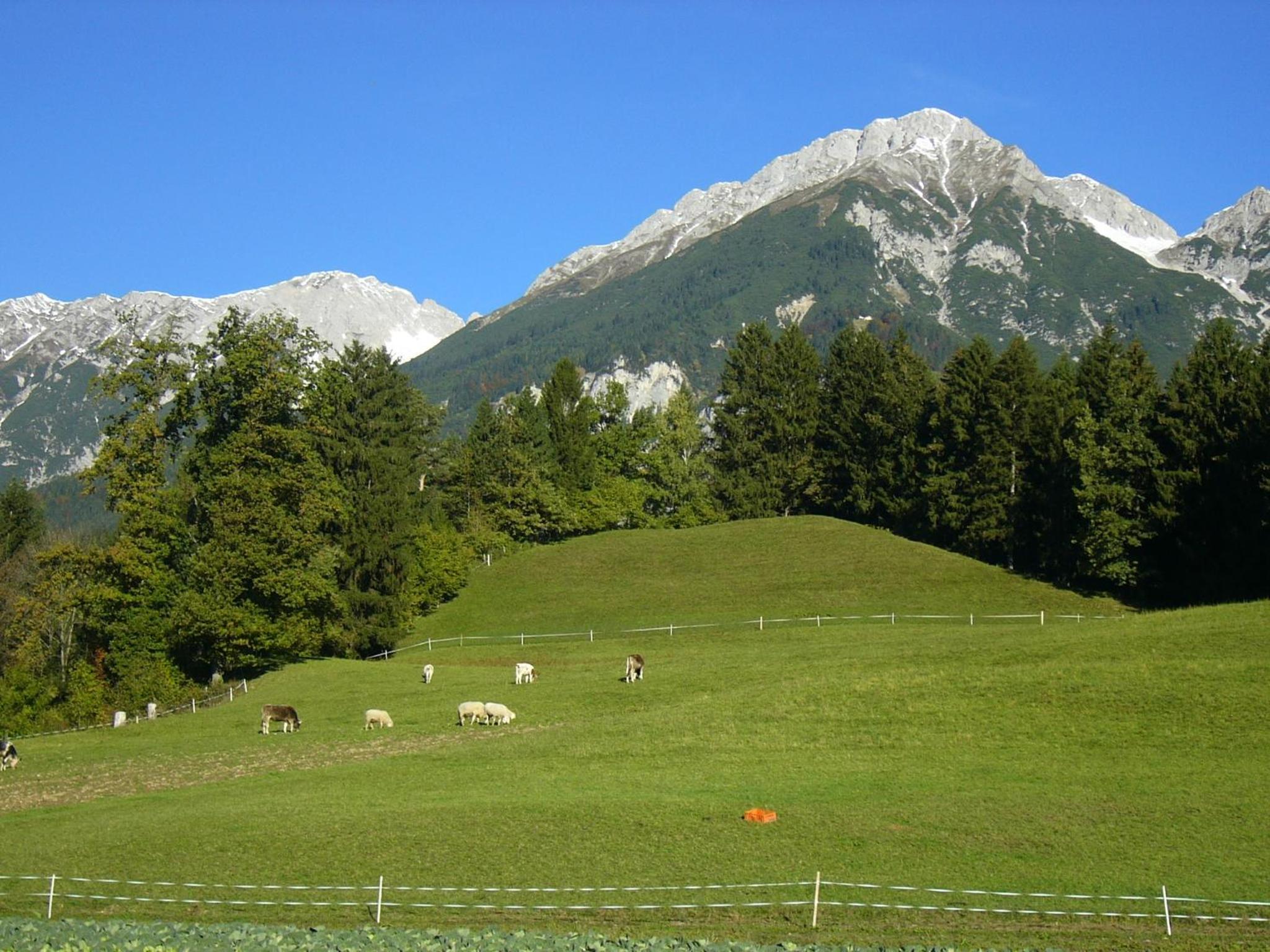 Photo 26