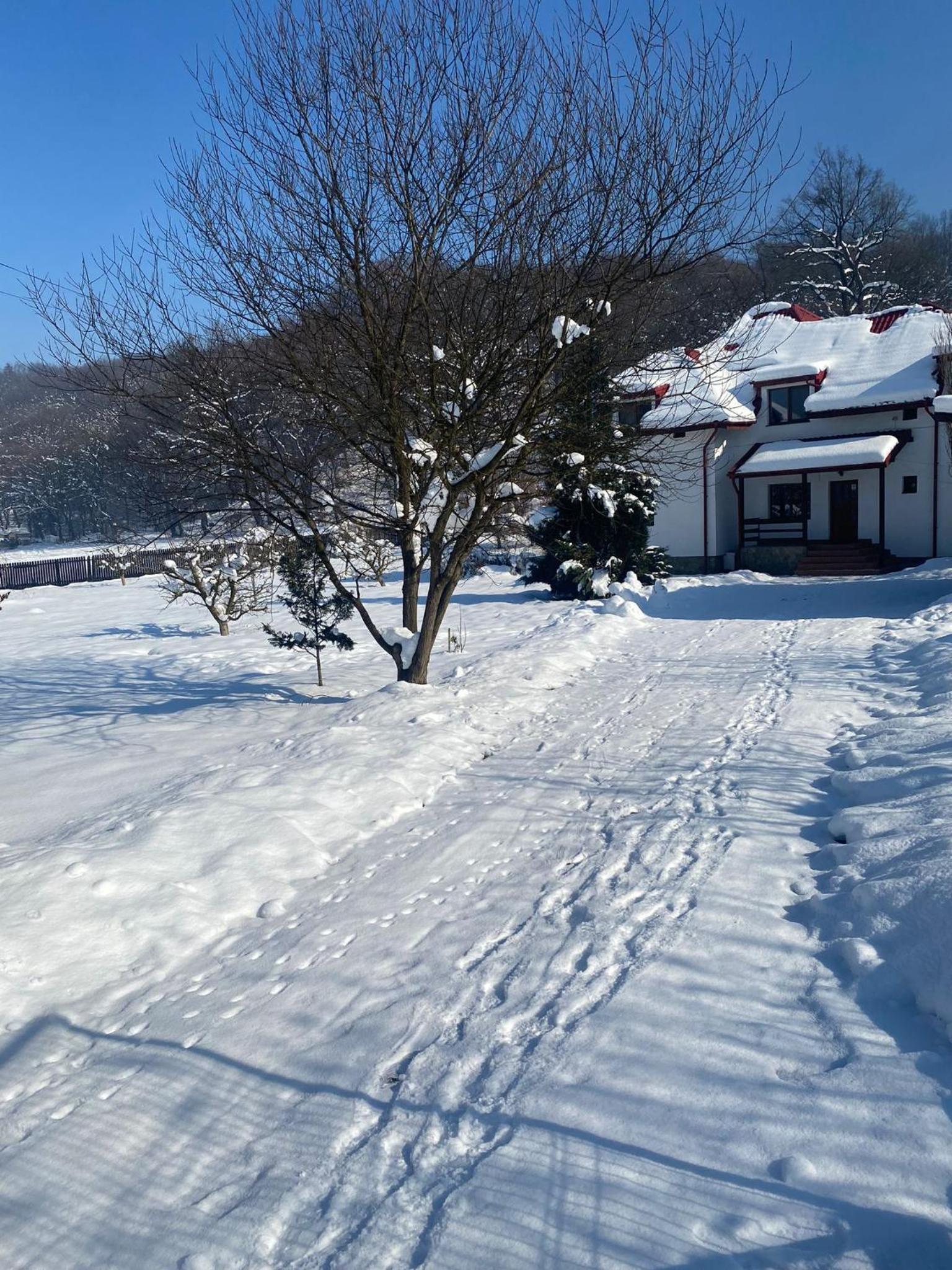 Casa Ina Rasnov view 5