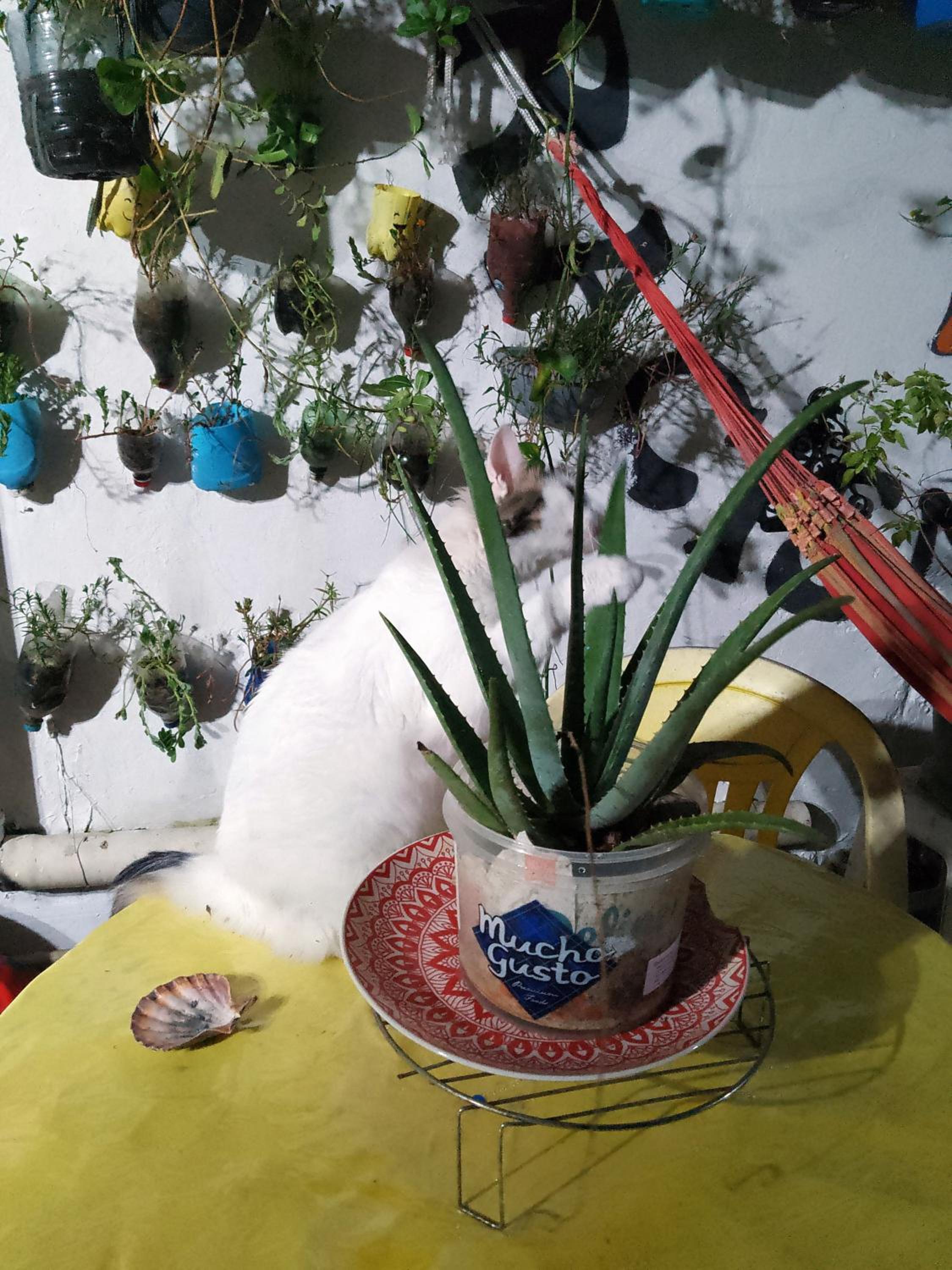 Hostel Torre Bahia