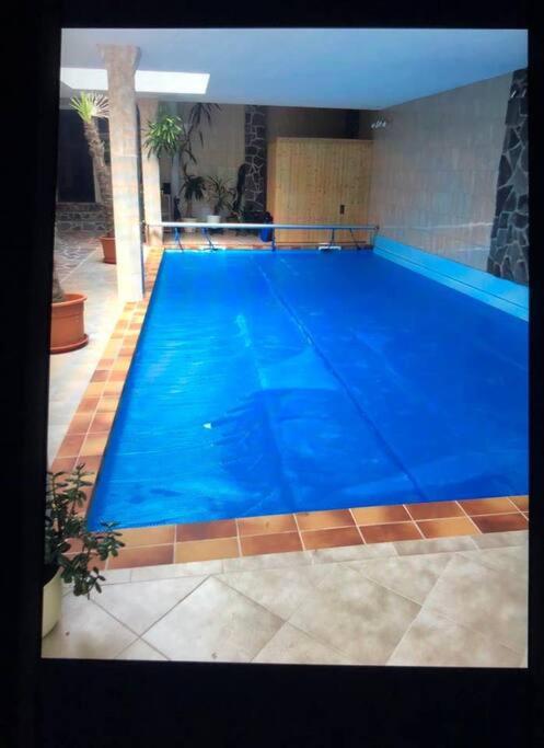 Penthouse Bernd im Waldschlösschen direkt am See