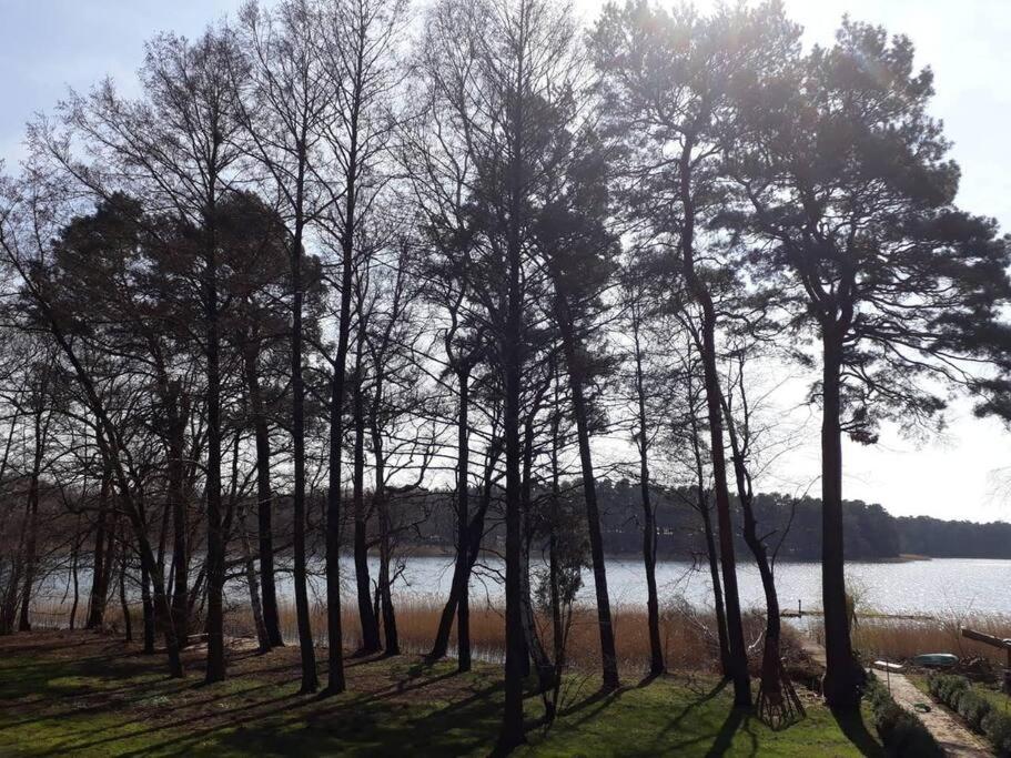 Penthouse Bernd im Waldschlösschen direkt am See