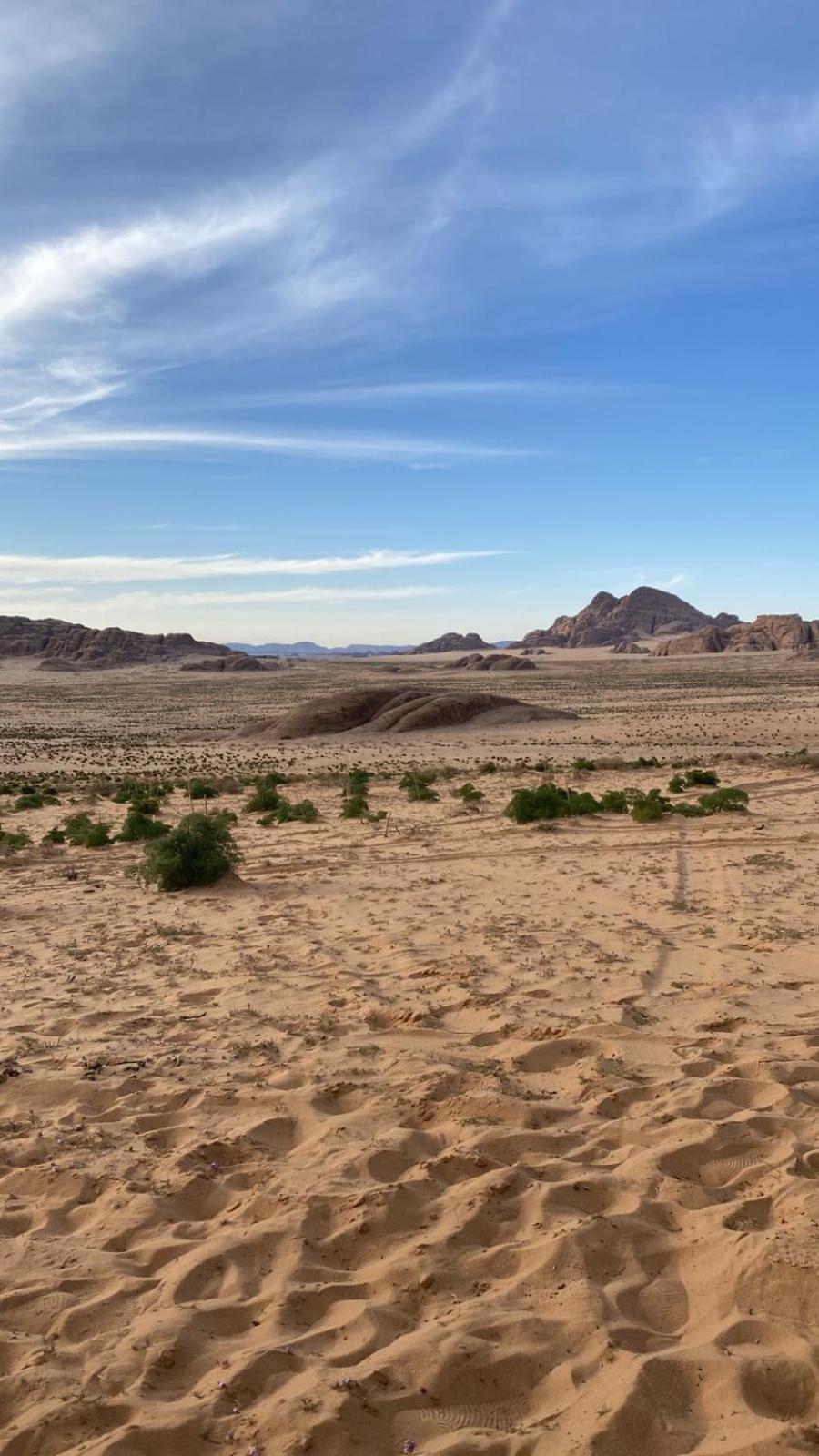 Wadi rum eagle Luxury camp