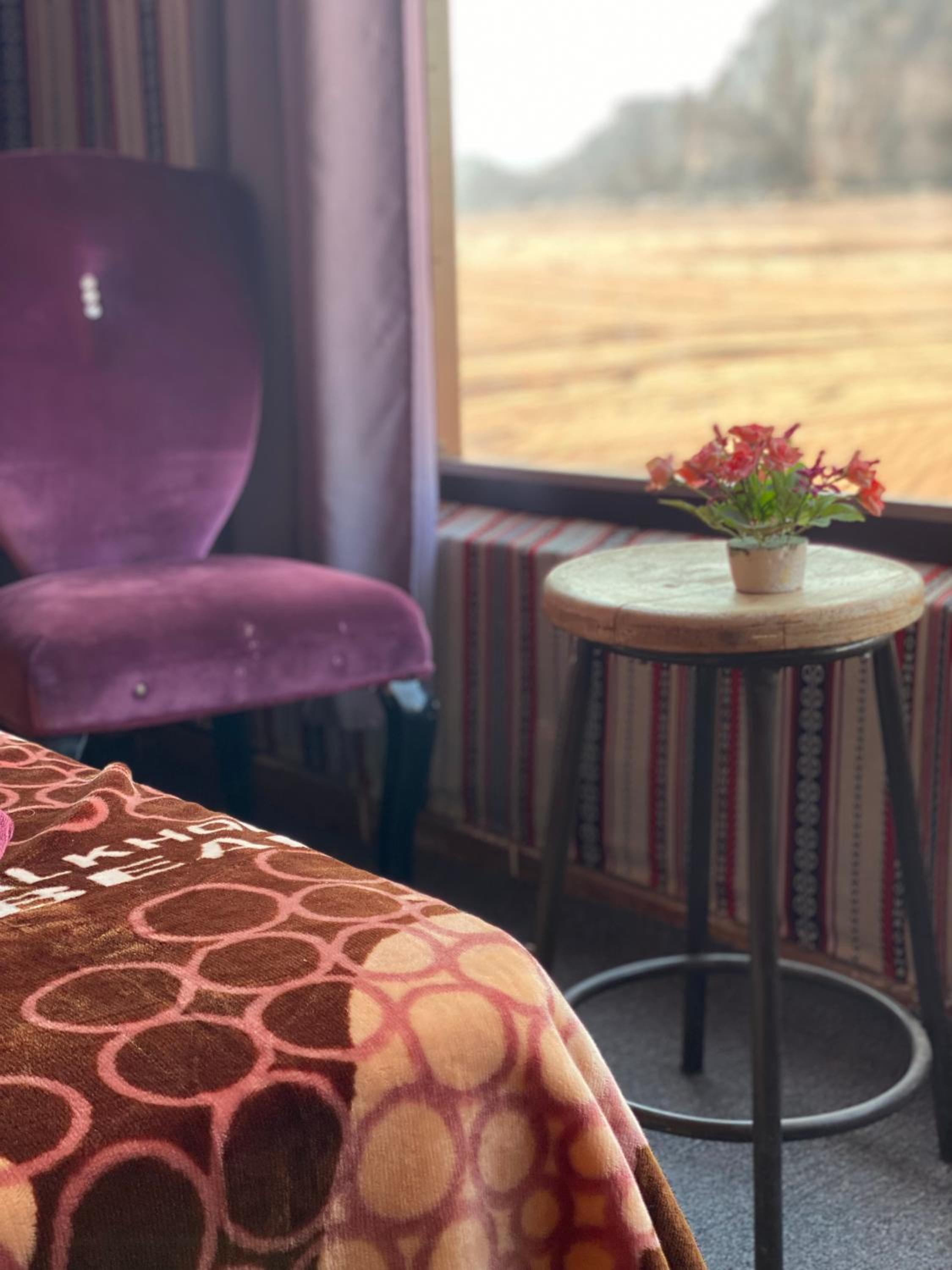 Wadi rum eagle Luxury camp