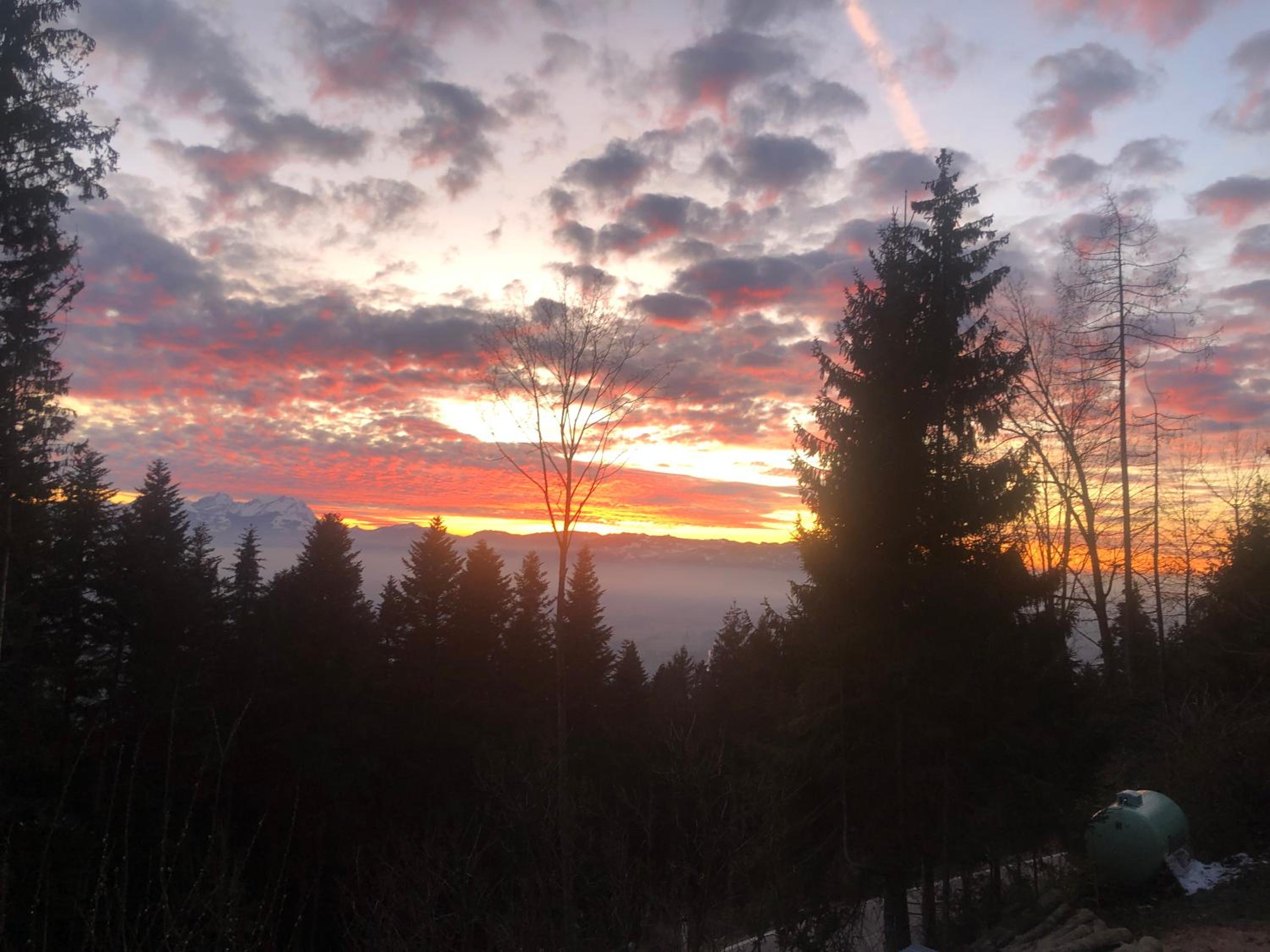1 ZI Appartement Zauberwald