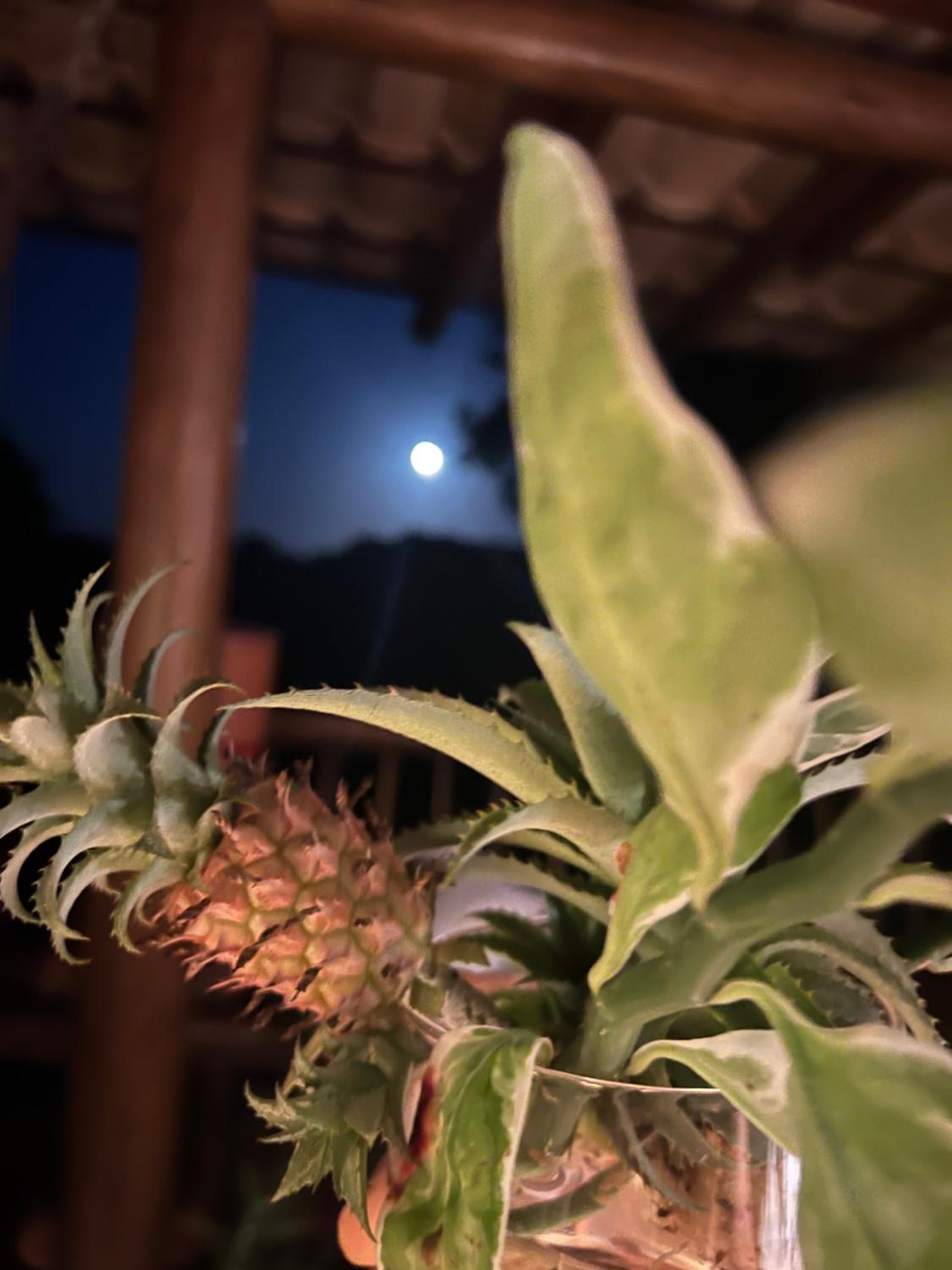 Locanda Ariramba