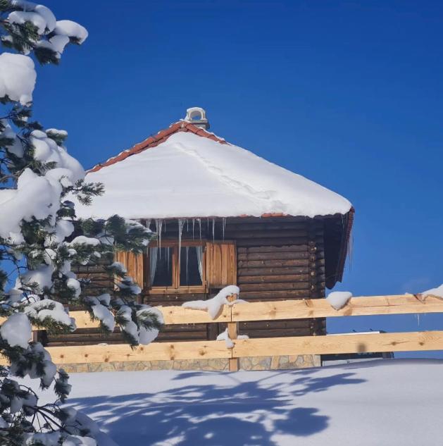 Kuca za odmor TORNIK Zlatibor view 4