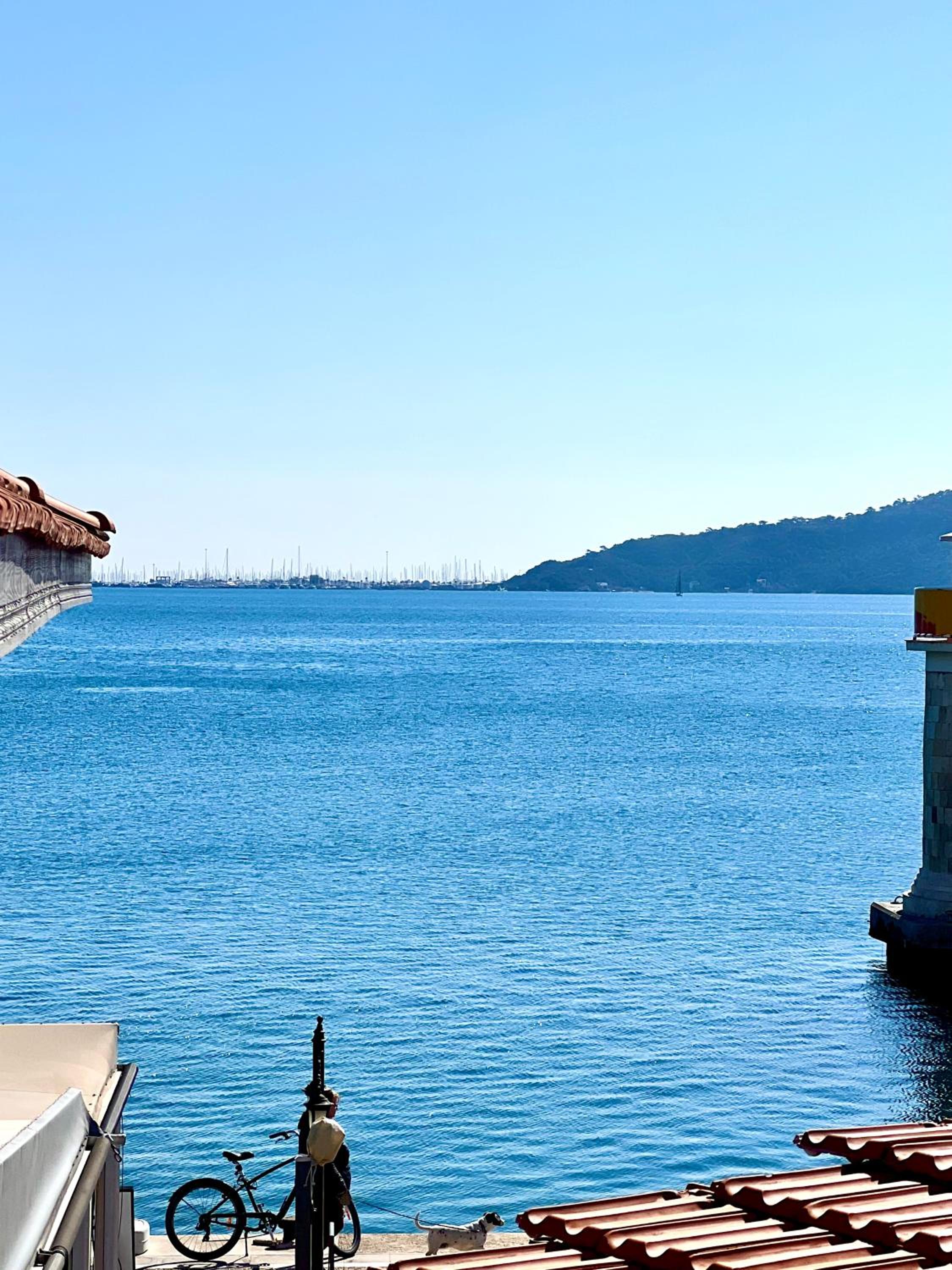 Photo 41