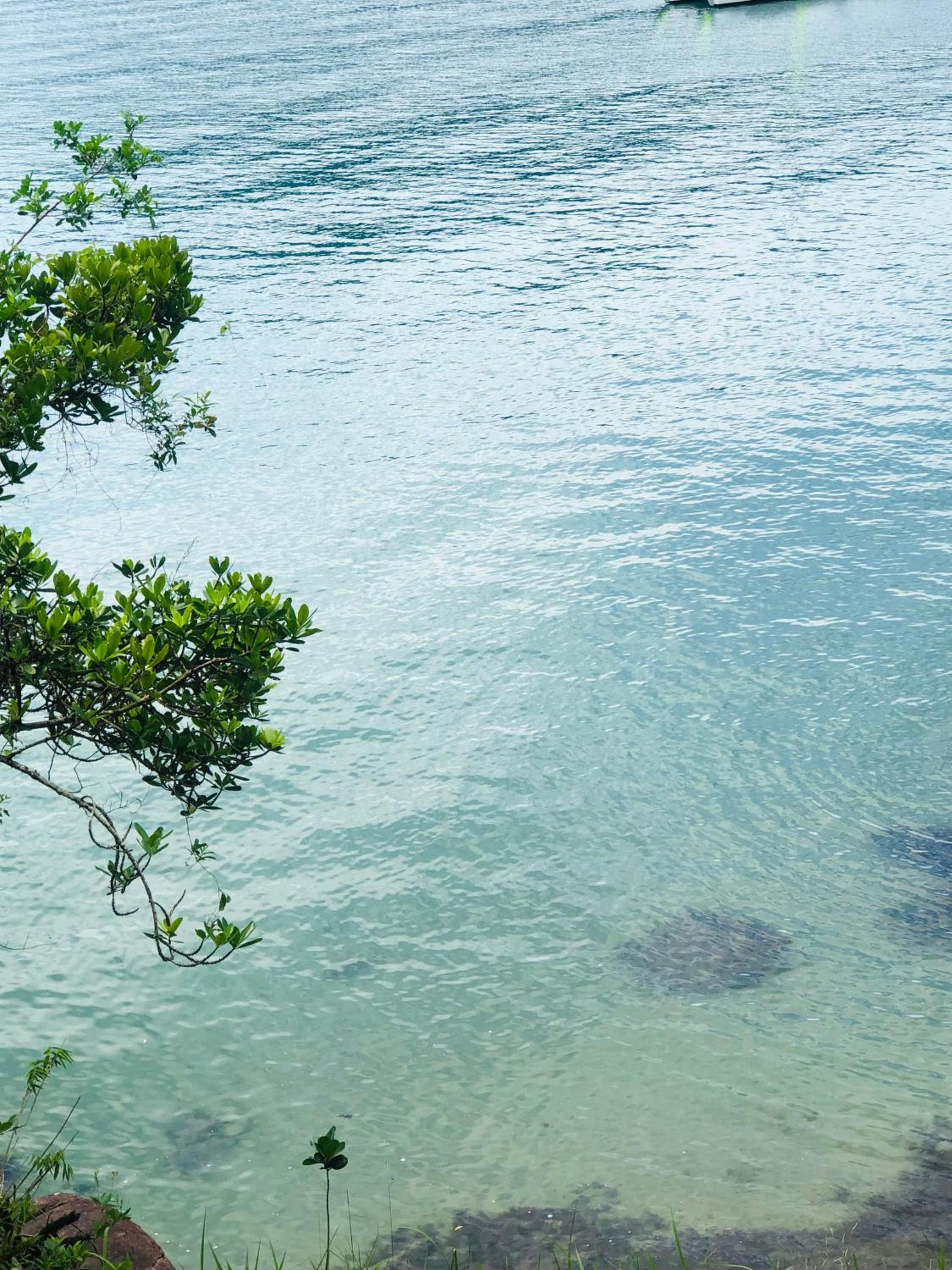 casa em Ubatuba à 100 metros da praia