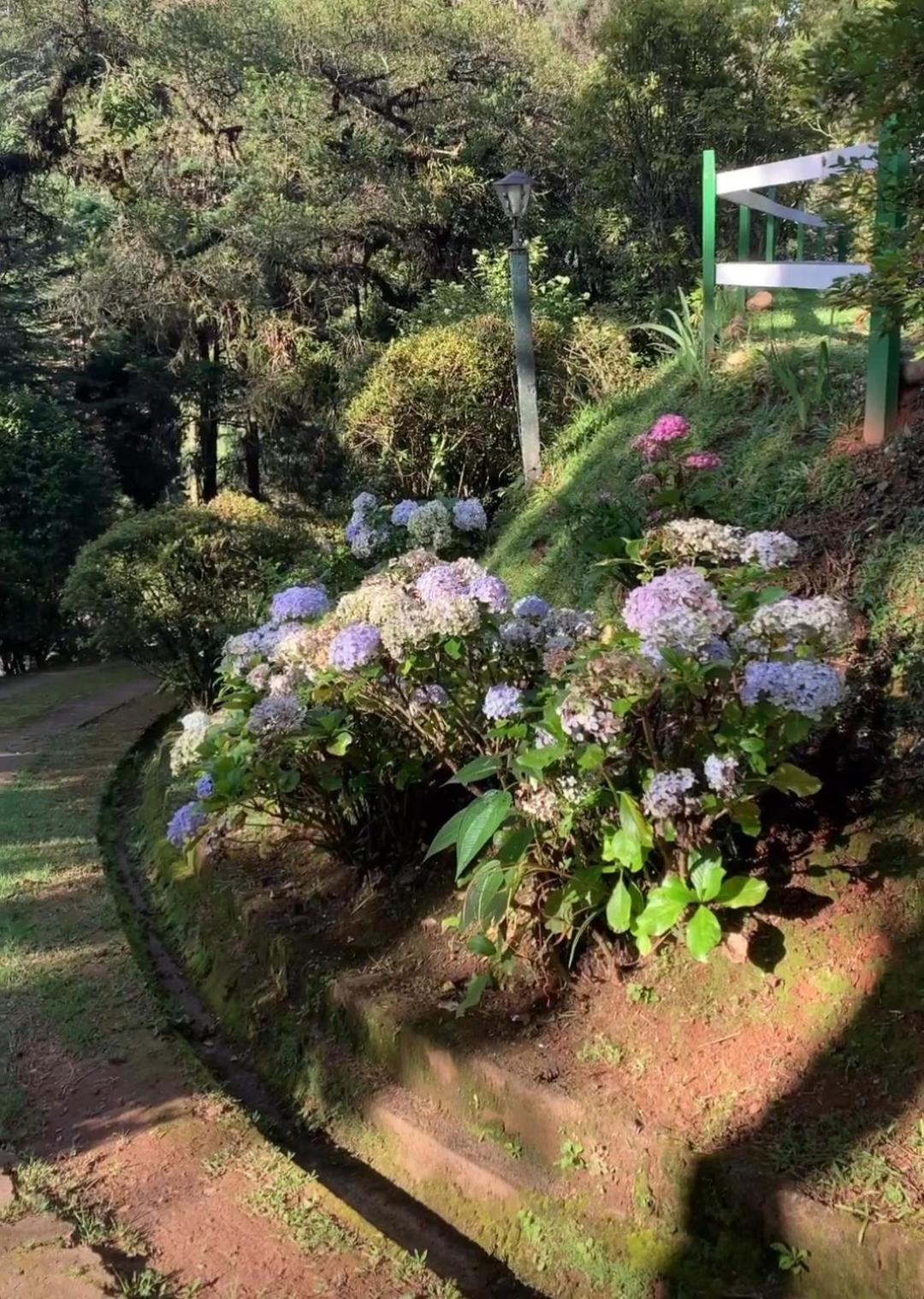 Casa em Campos do Jordão - 3 quartos, com churrasqueira
