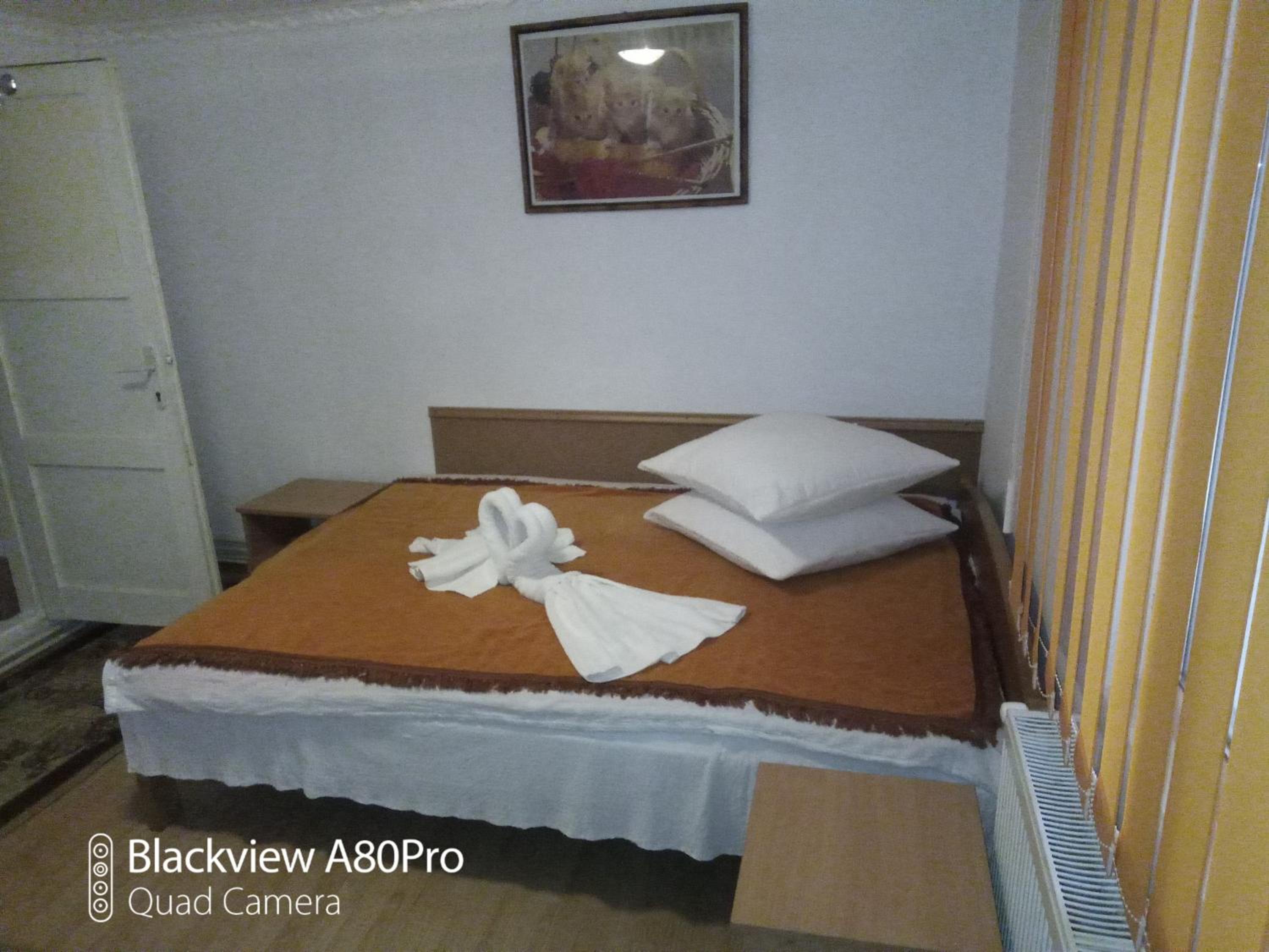 Photo 44