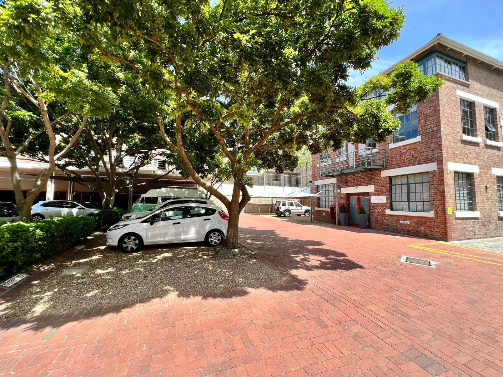 No load-shedding Spacious Apartment view 5