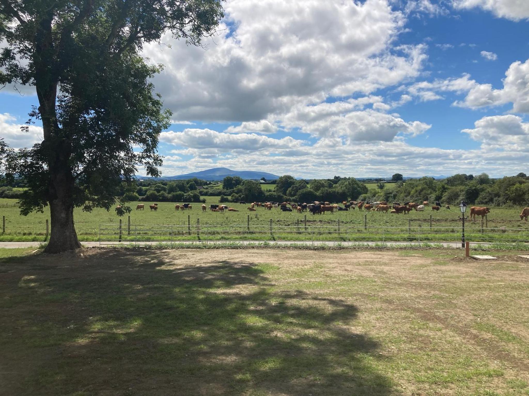 Knockreagh Farm Cottages Mountain or Cedar views view 3