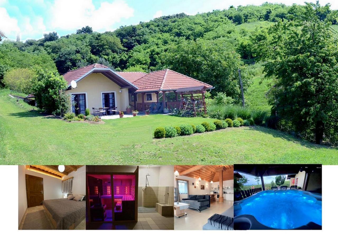 Hotel Apartment Feher Lendava