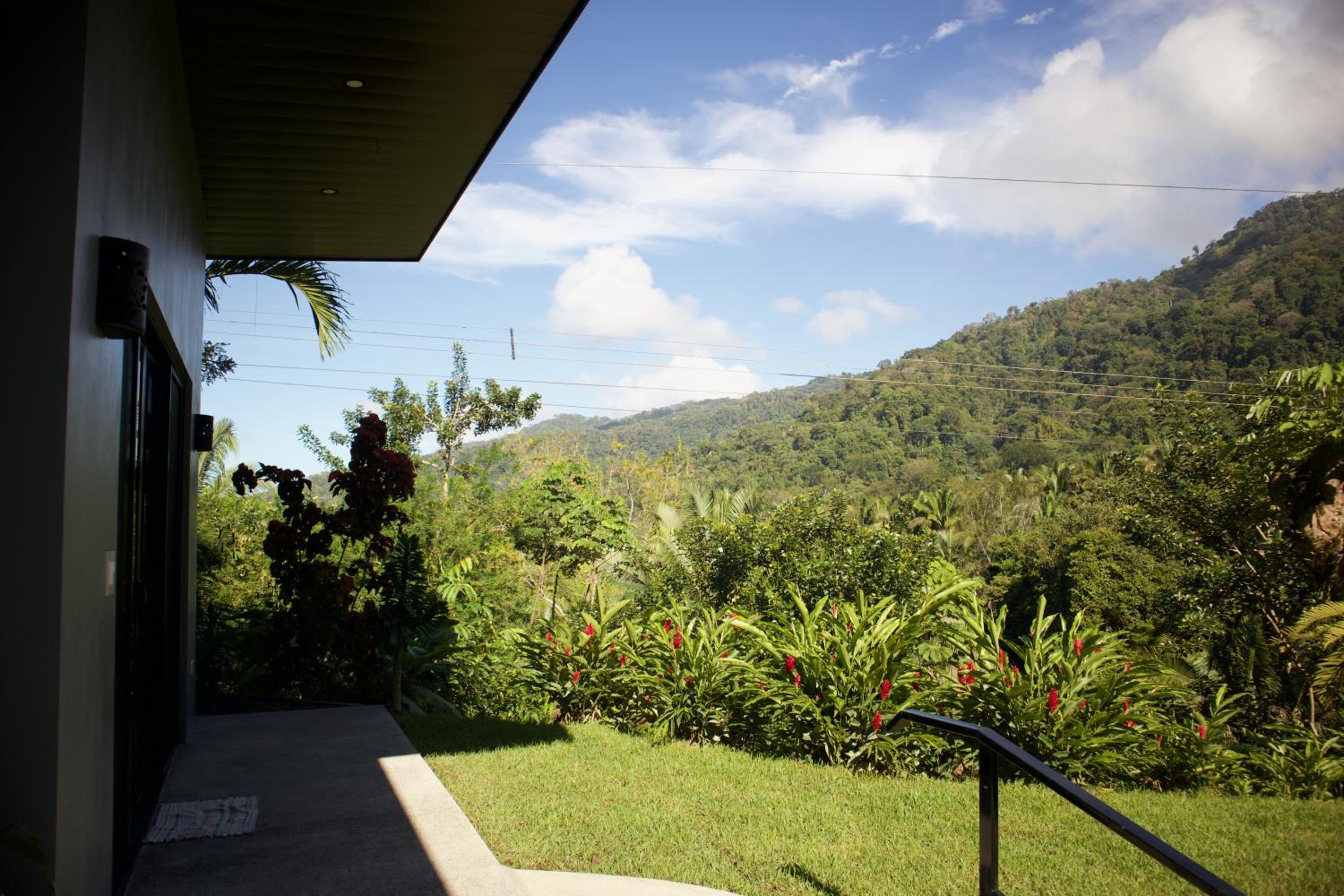 Jungle Home with King Beds -5 Minutes from the Beach