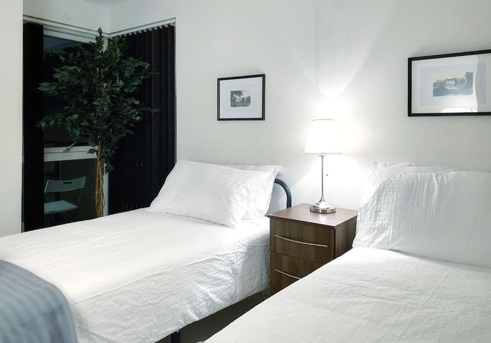 Two Bedroom Luxury Apt with film style
