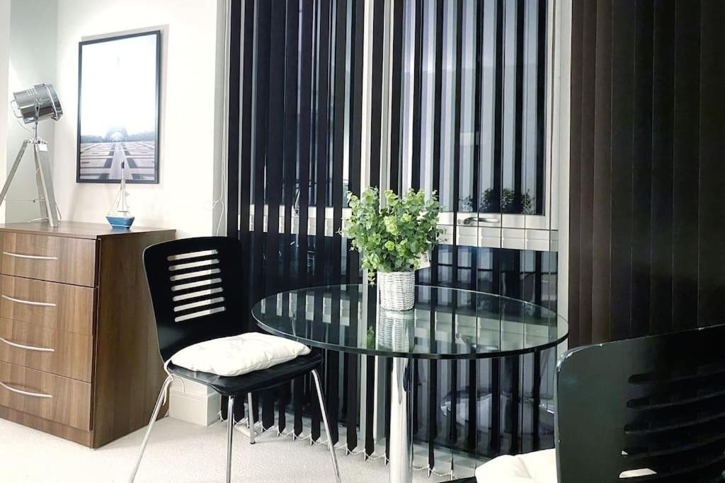 Two Bedroom Luxury Apt with film style