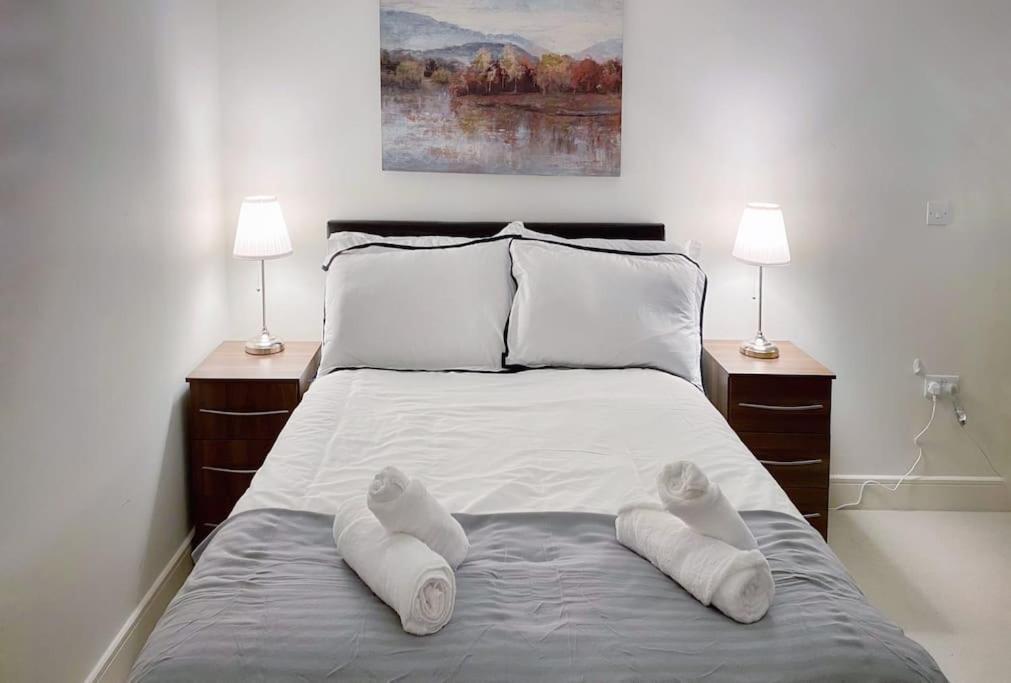 Two Bedroom Luxury Apt with film style