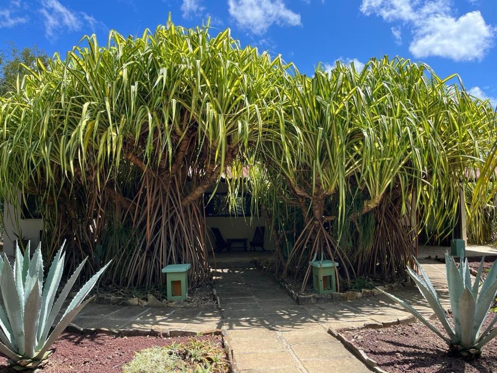 The Happy Coconut Resort view 2