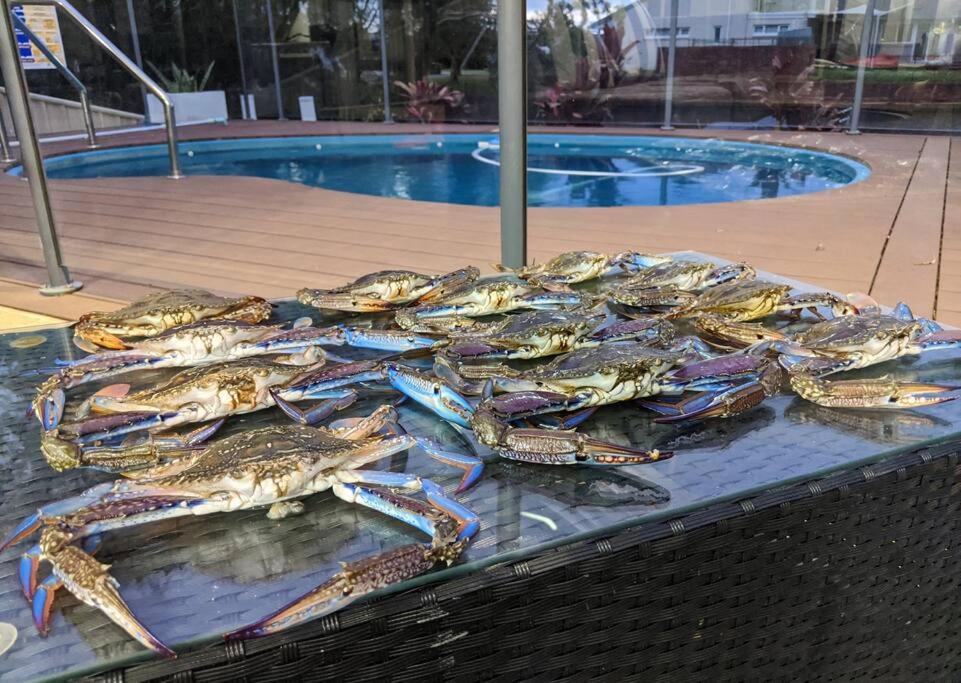 Grand Riviera Forster- waterfront, pool, wharf