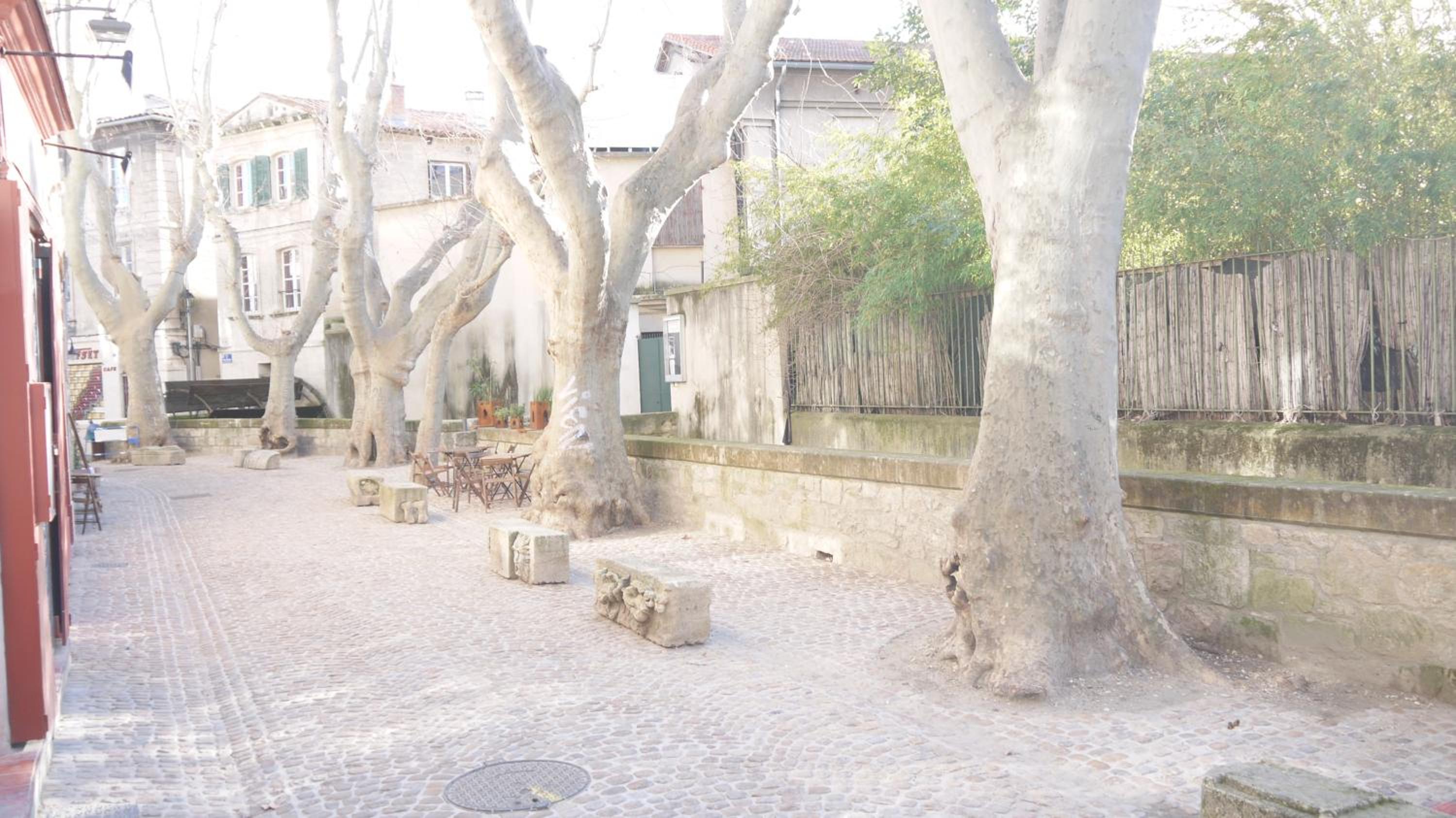 Appartements des Teinturiers