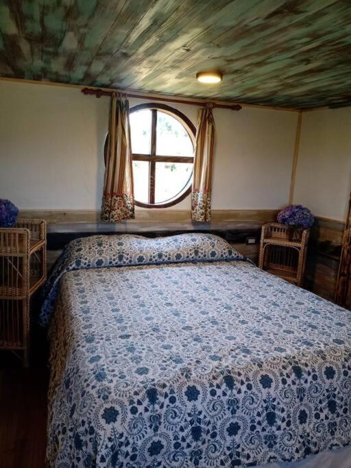 Casa Hobbit Puerto Montt