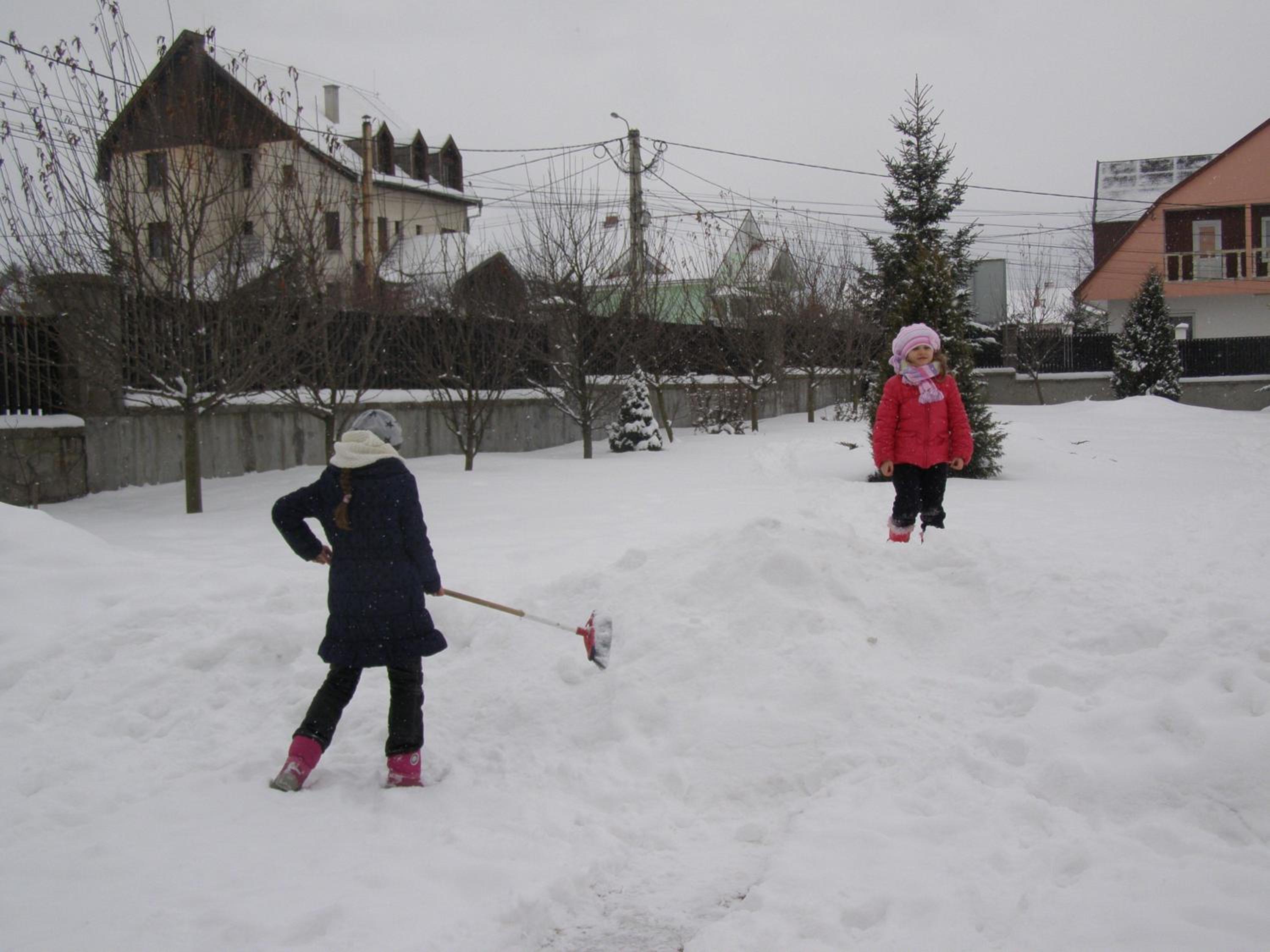 Photo 201