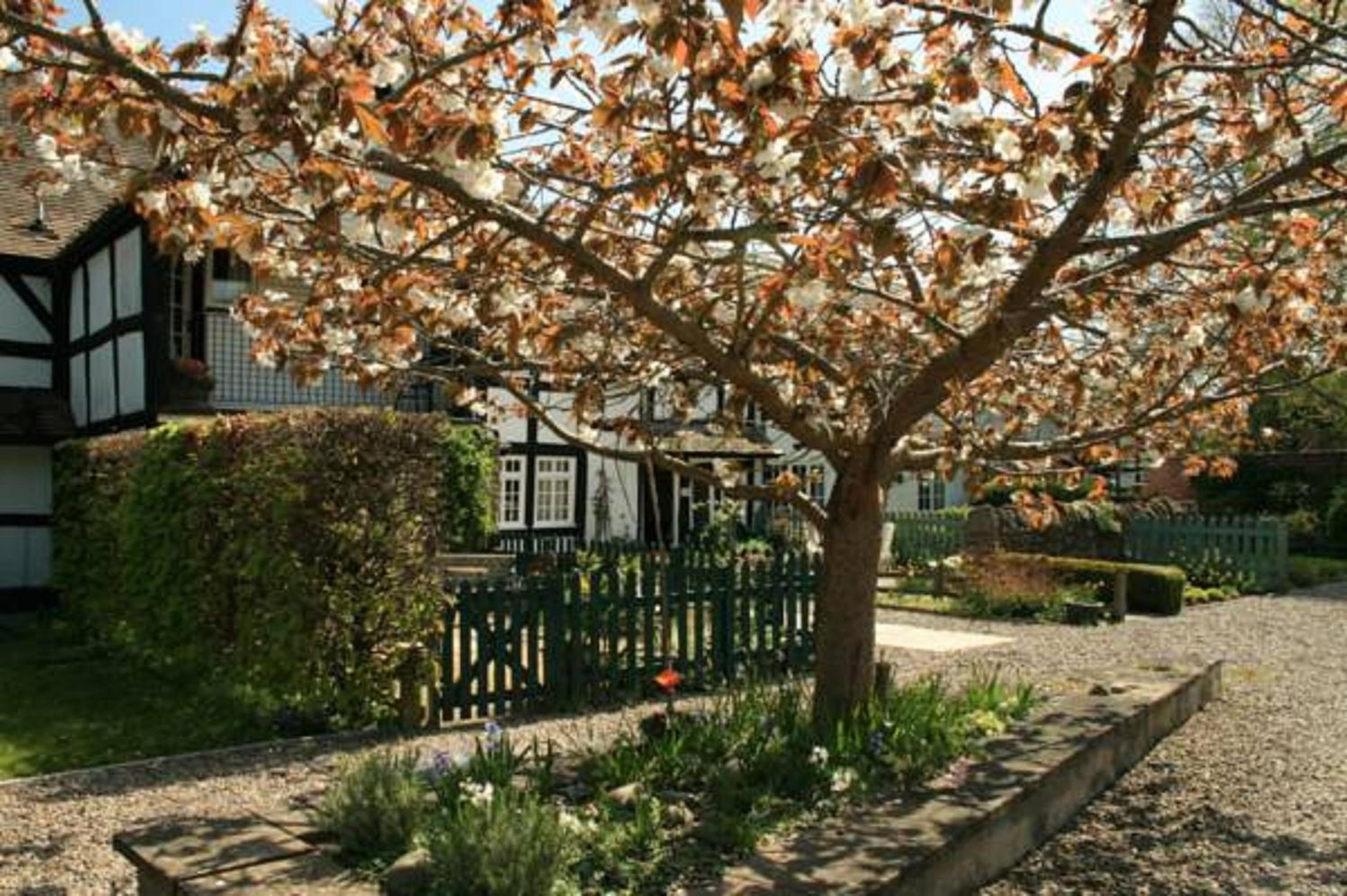 Peel Cottage, Dilwyn view 2