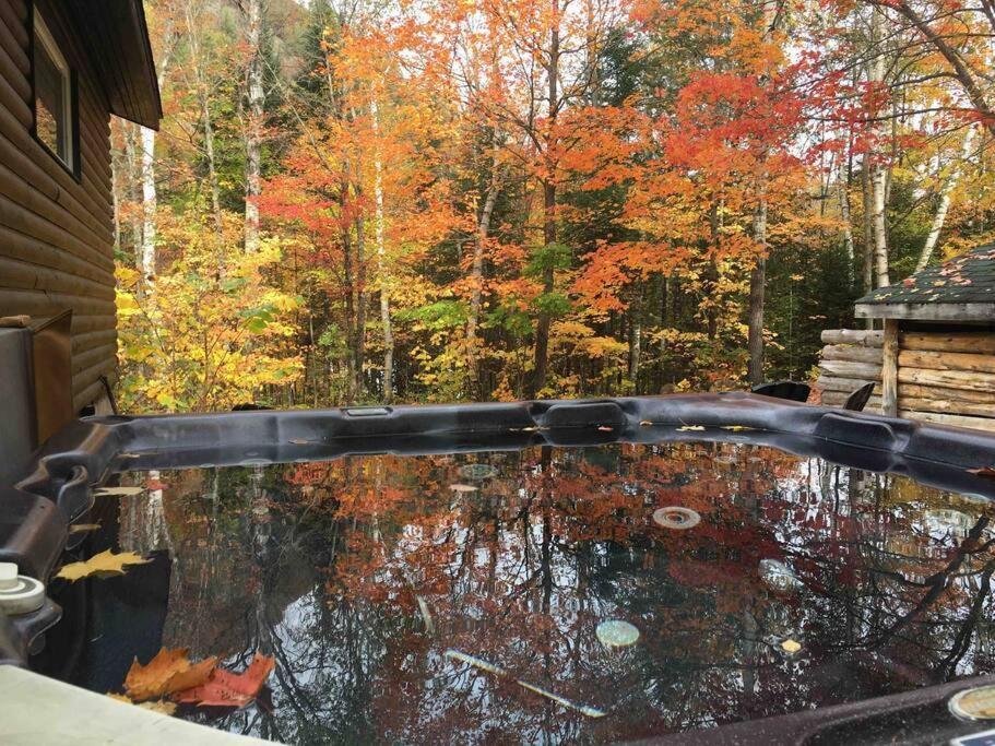 Cozy Lake Loj + Hot Tub & Fire Pit