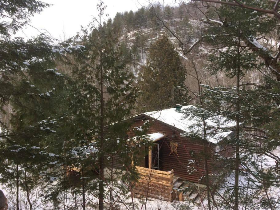Cozy Lake Loj + Hot Tub & Fire Pit