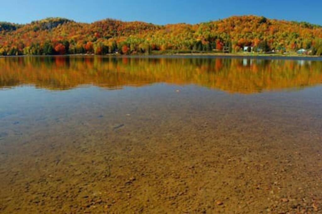 Cozy Lake Loj + Hot Tub & Fire Pit