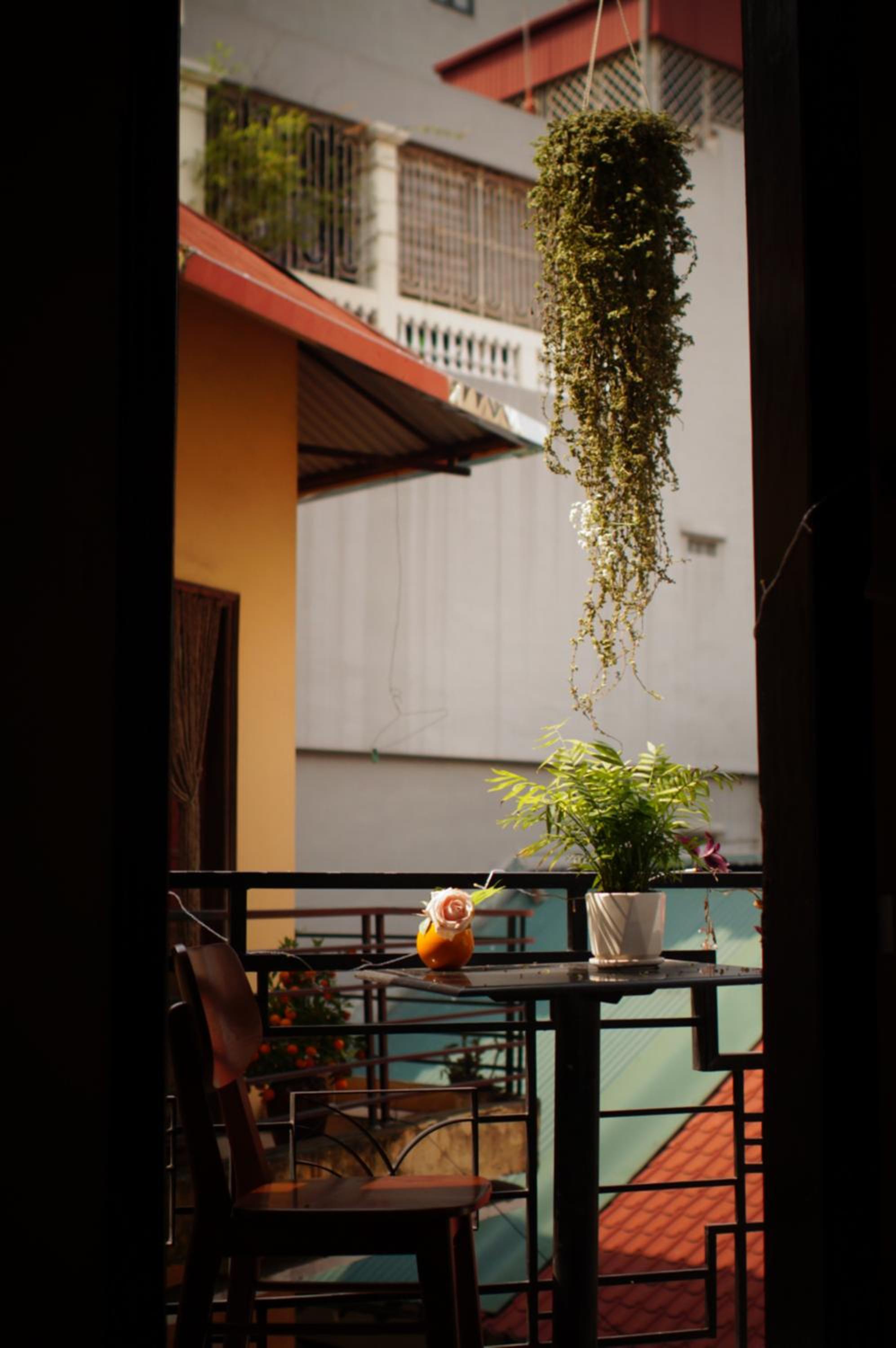 Drift Backpackers Hostel