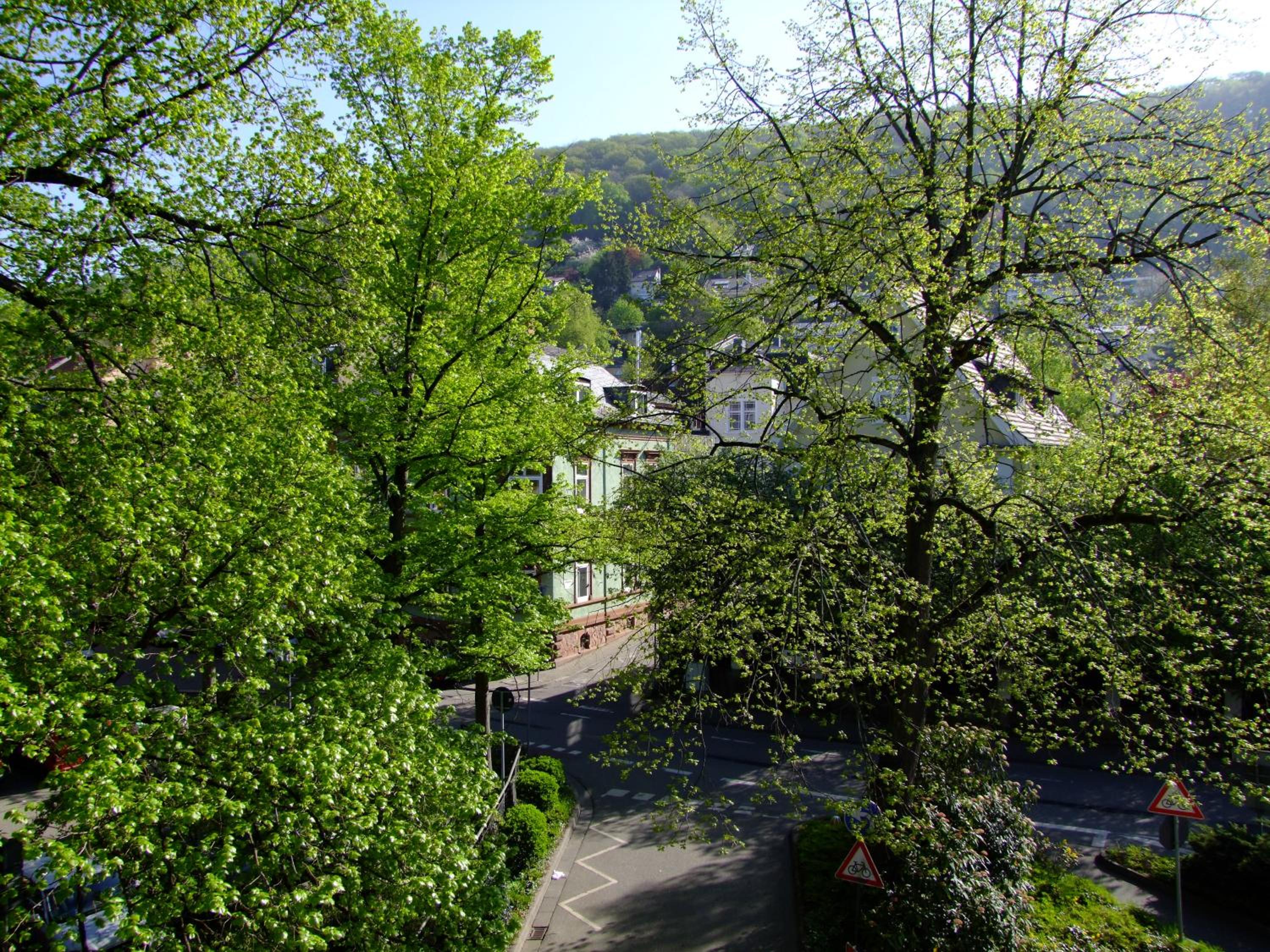 Heidelberg Vacations - heidel-home 1Raum Studio - Property Image 12