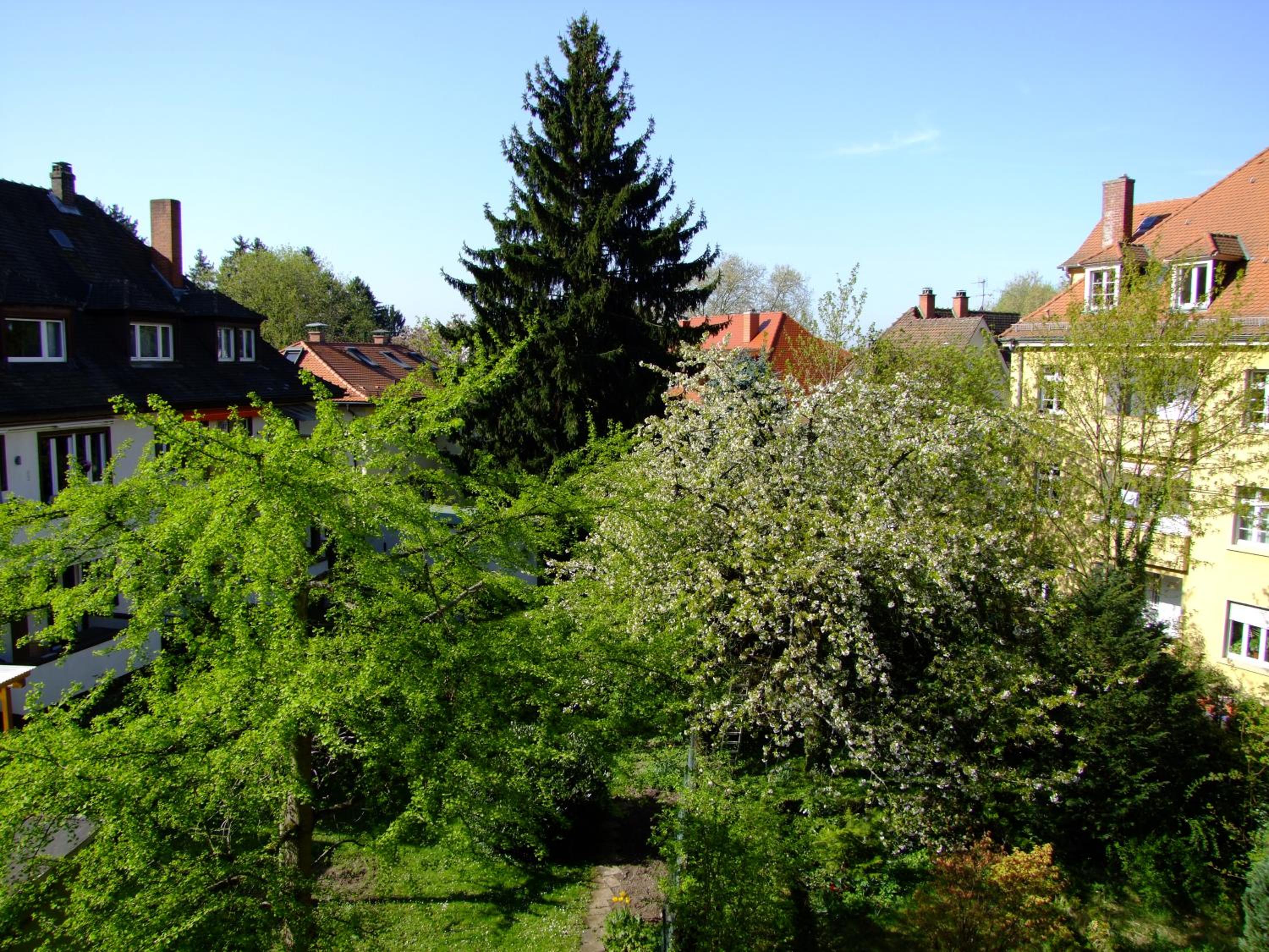 Heidelberg Vacations - heidel-home 1Raum Studio - Property Image 1