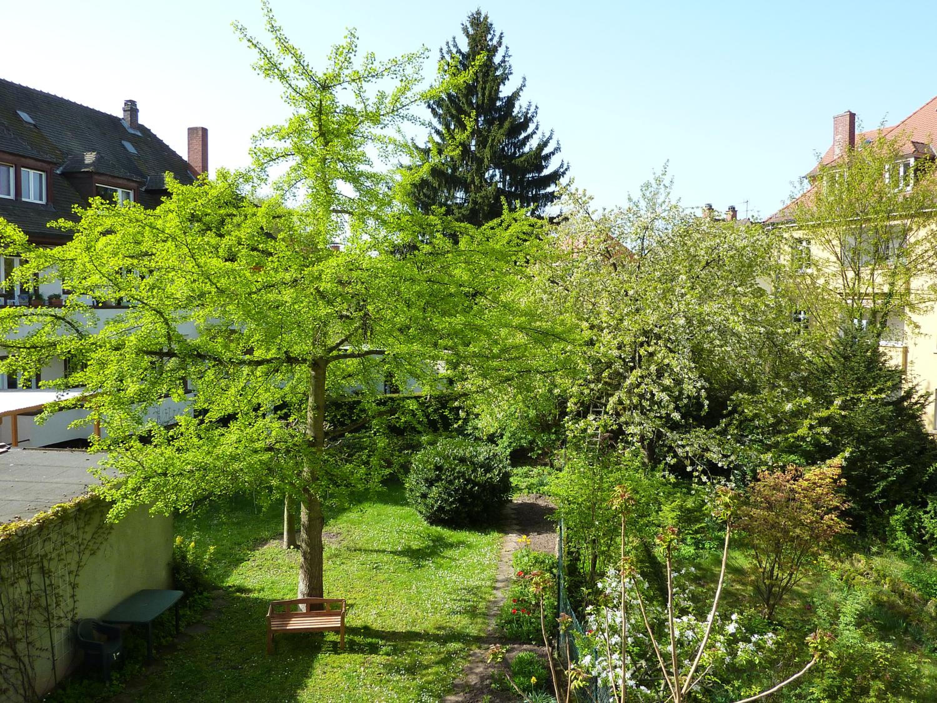 Heidelberg Vacations - heidel-home 1Raum Studio - Property Image 11