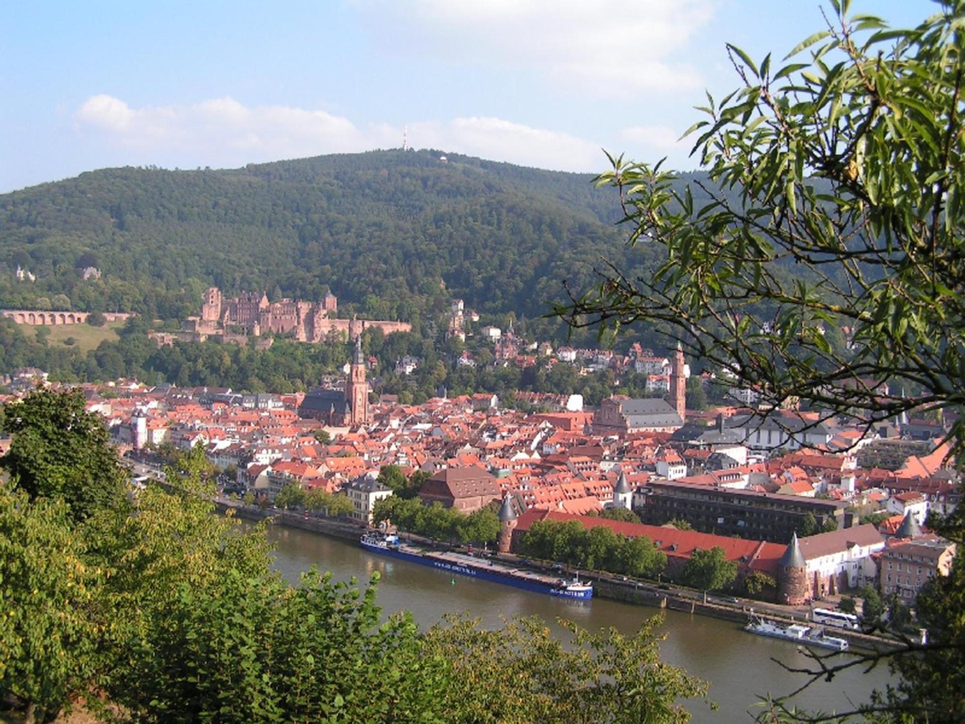 Heidelberg Vacations - heidel-home 1Raum Studio - Property Image 16