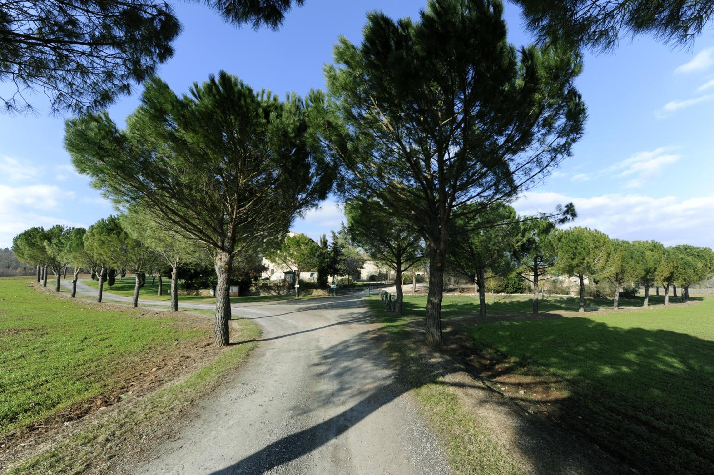 Fattoria Agriturismo Nerbona