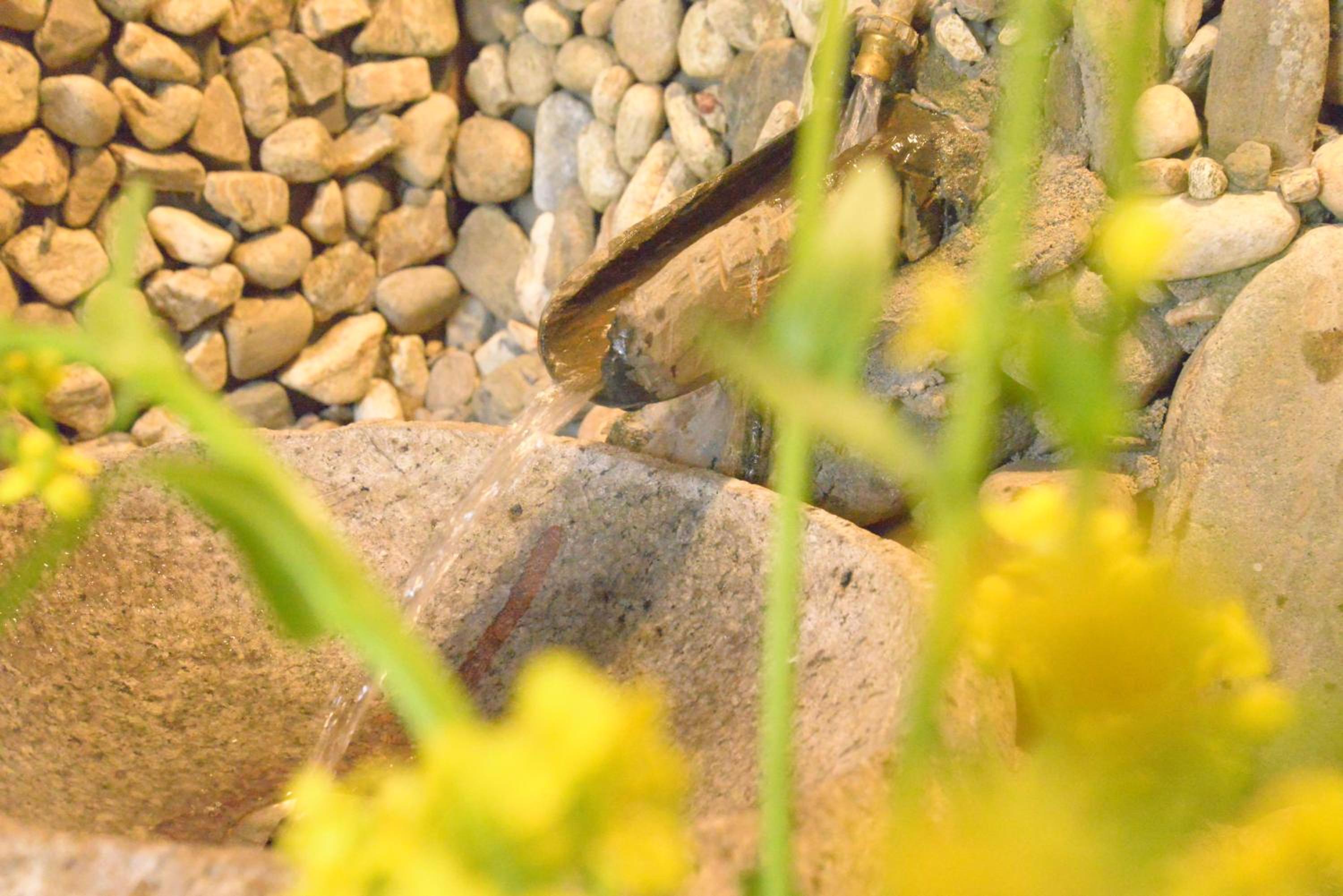 Photo 44
