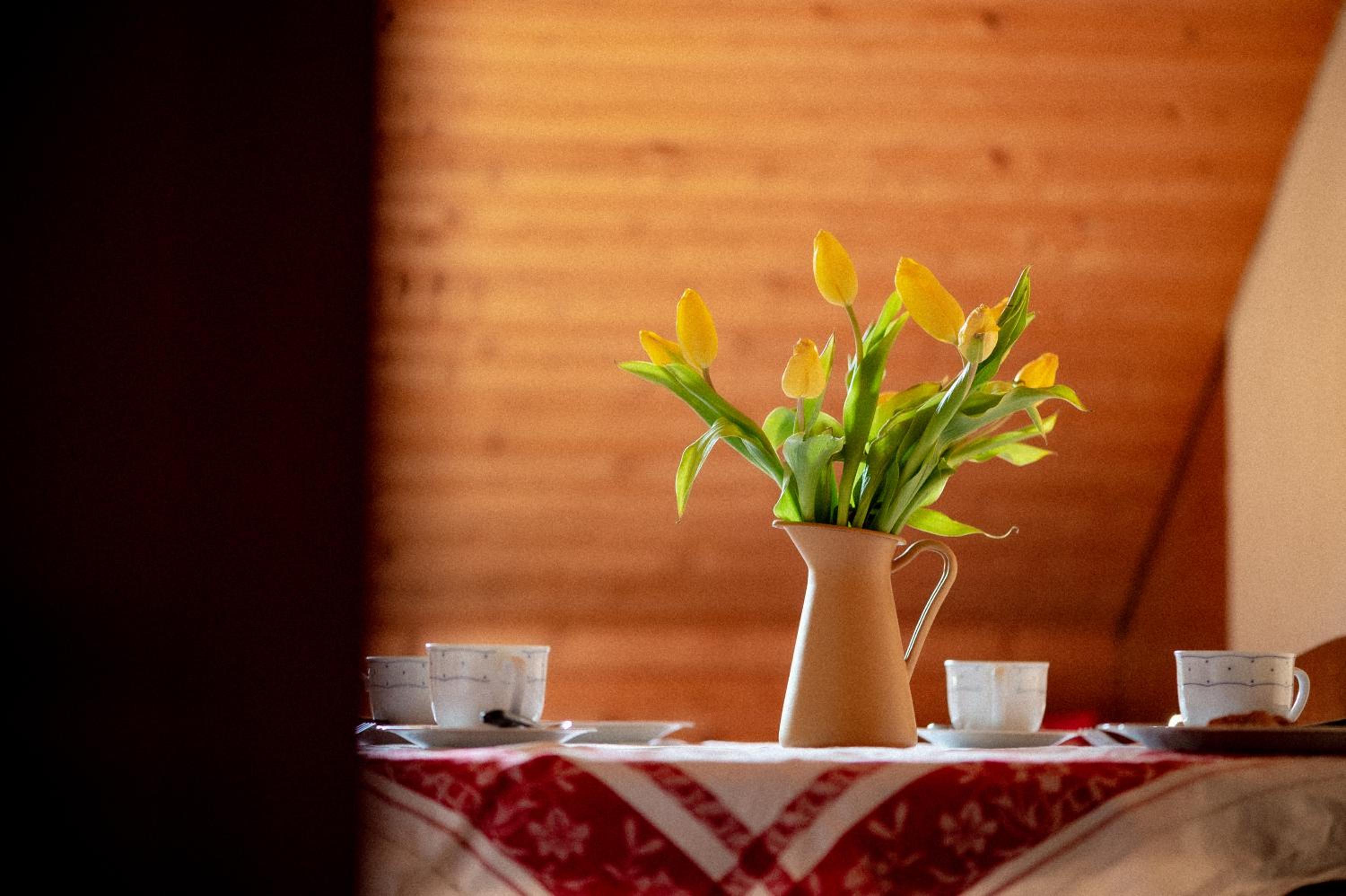 Bodensee Apartments, Sauna, Lake Walks, Free Parking, Self Checkin, Nature Reserve, Restaurants Nearby