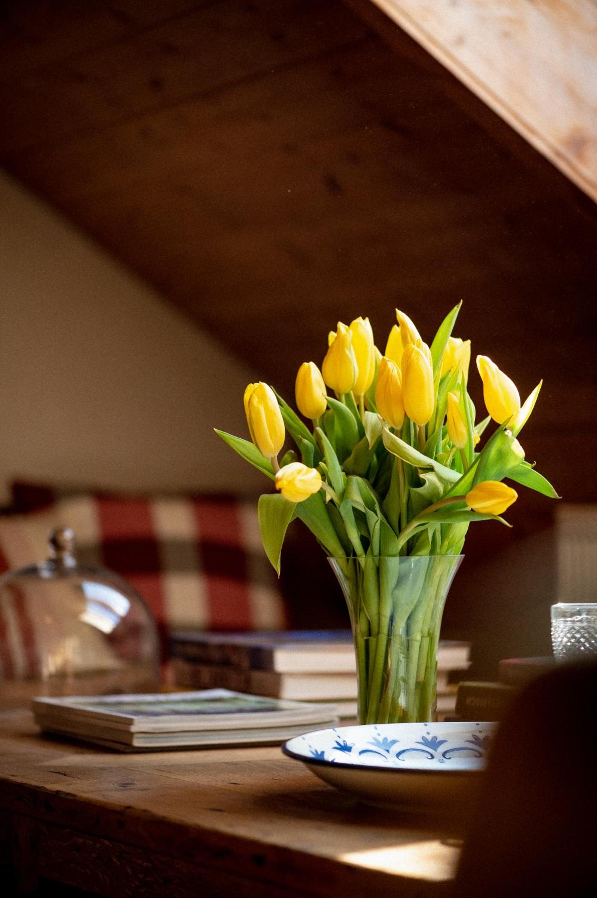 Bodensee Apartments, Sauna, Lake Walks, Free Parking, Self Checkin, Nature Reserve, Restaurants Nearby