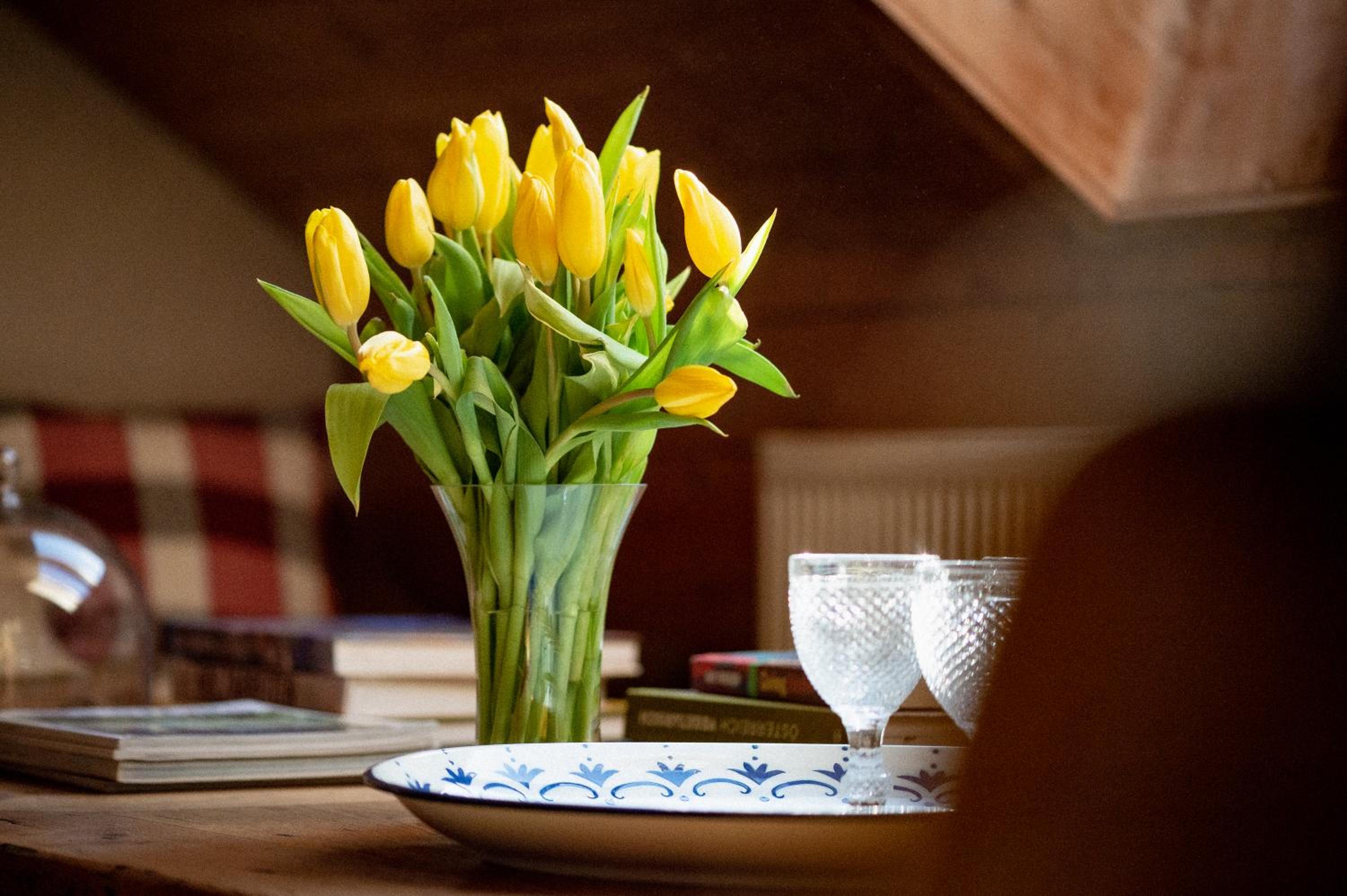 Bodensee Apartments, Sauna, Lake Walks, Free Parking, Self Checkin, Nature Reserve, Restaurants Nearby