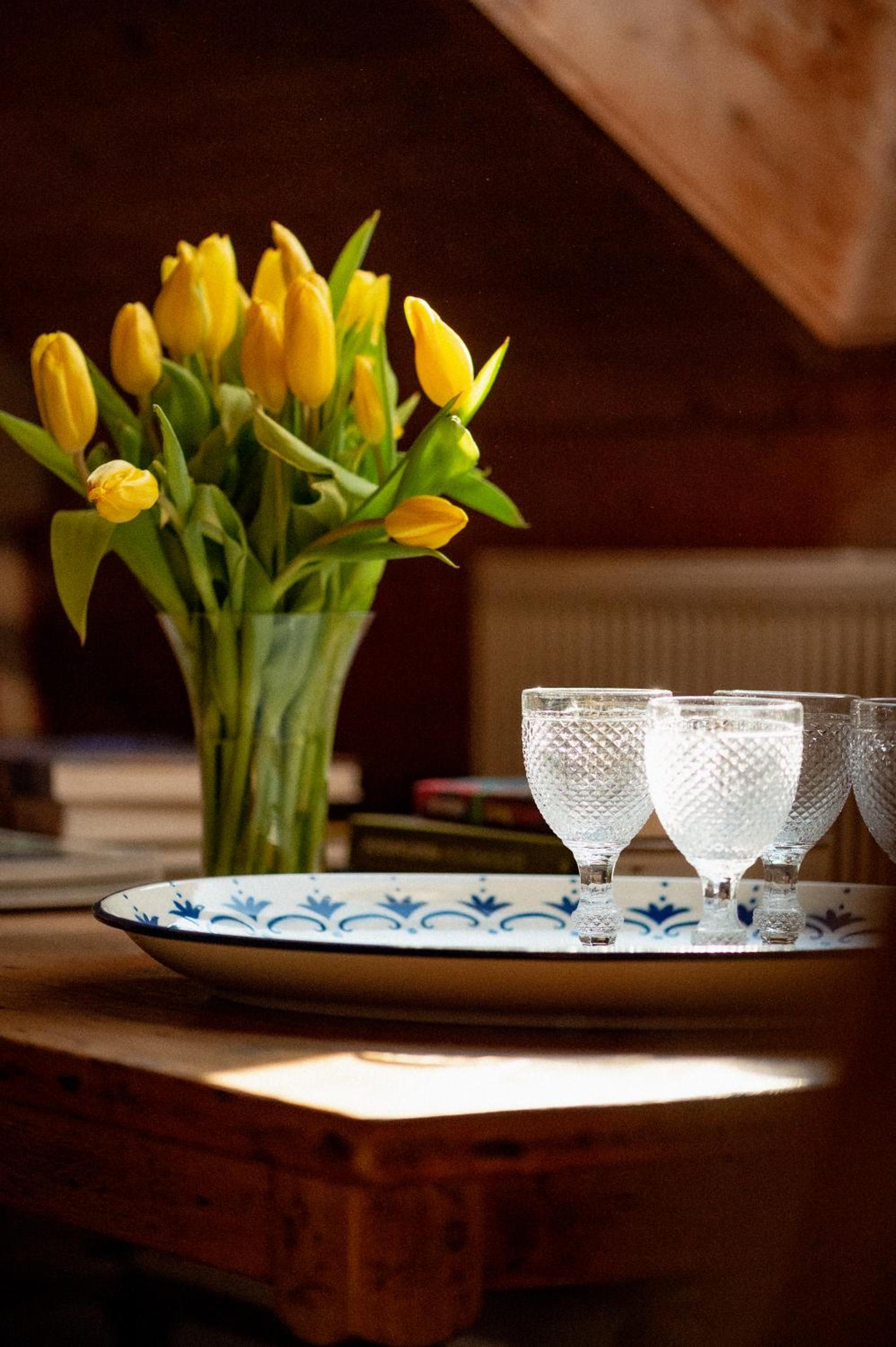 Bodensee Apartments, Sauna, Lake Walks, Free Parking, Self Checkin, Nature Reserve, Restaurants Nearby