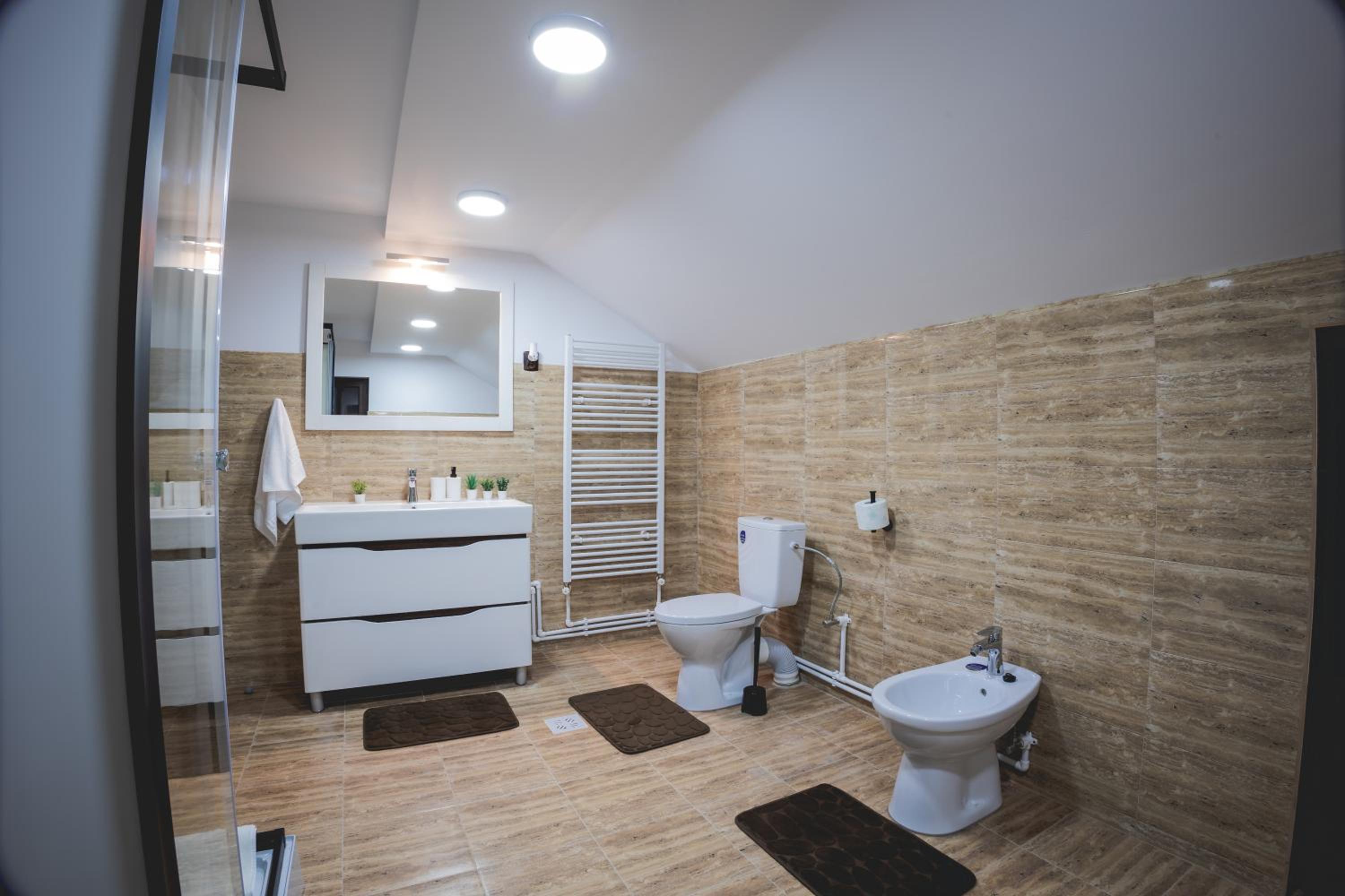 Cabana Stânceni