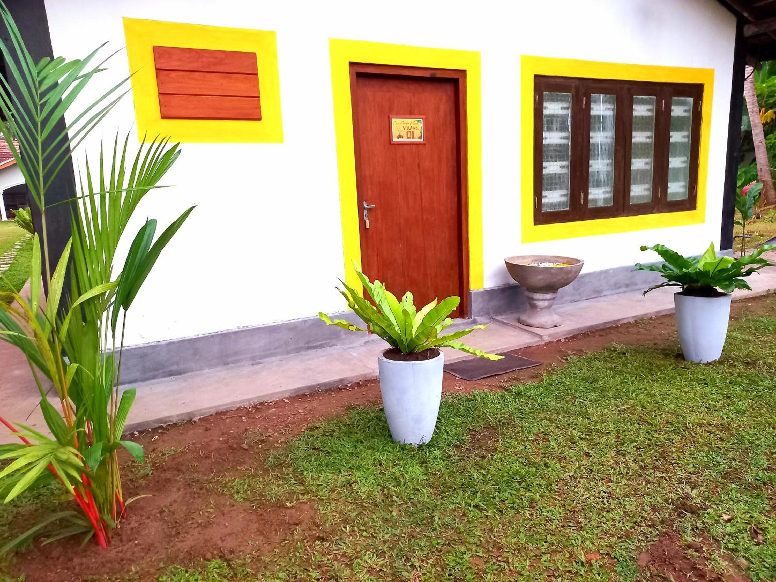 Photo 11